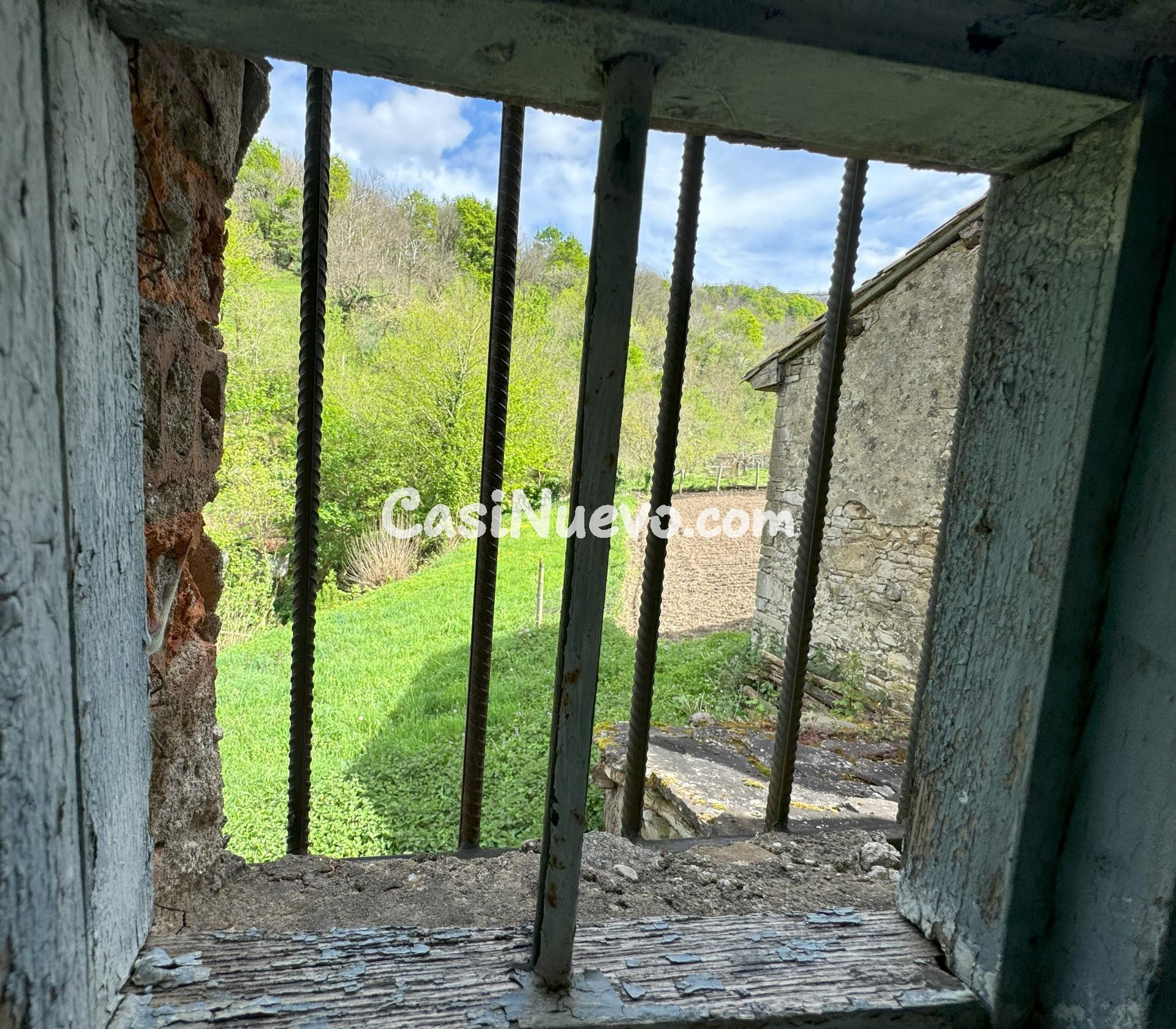 CASA CON GALERIA, ANTOJANA Y ALMACÉN - foto 31