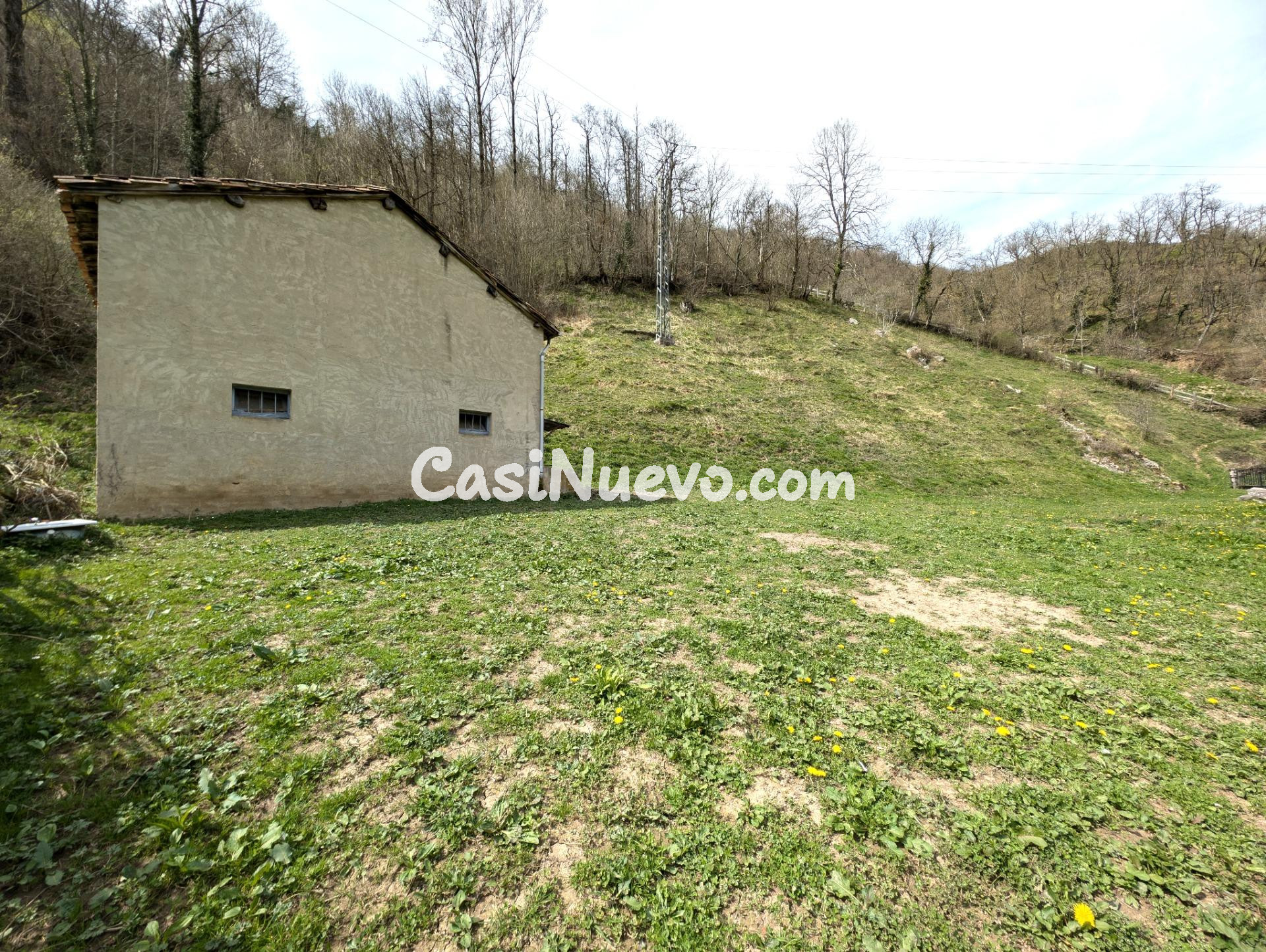 CUADRA CON FINCA DE 3000 M2 EN CASOMERA ALLER - foto 4