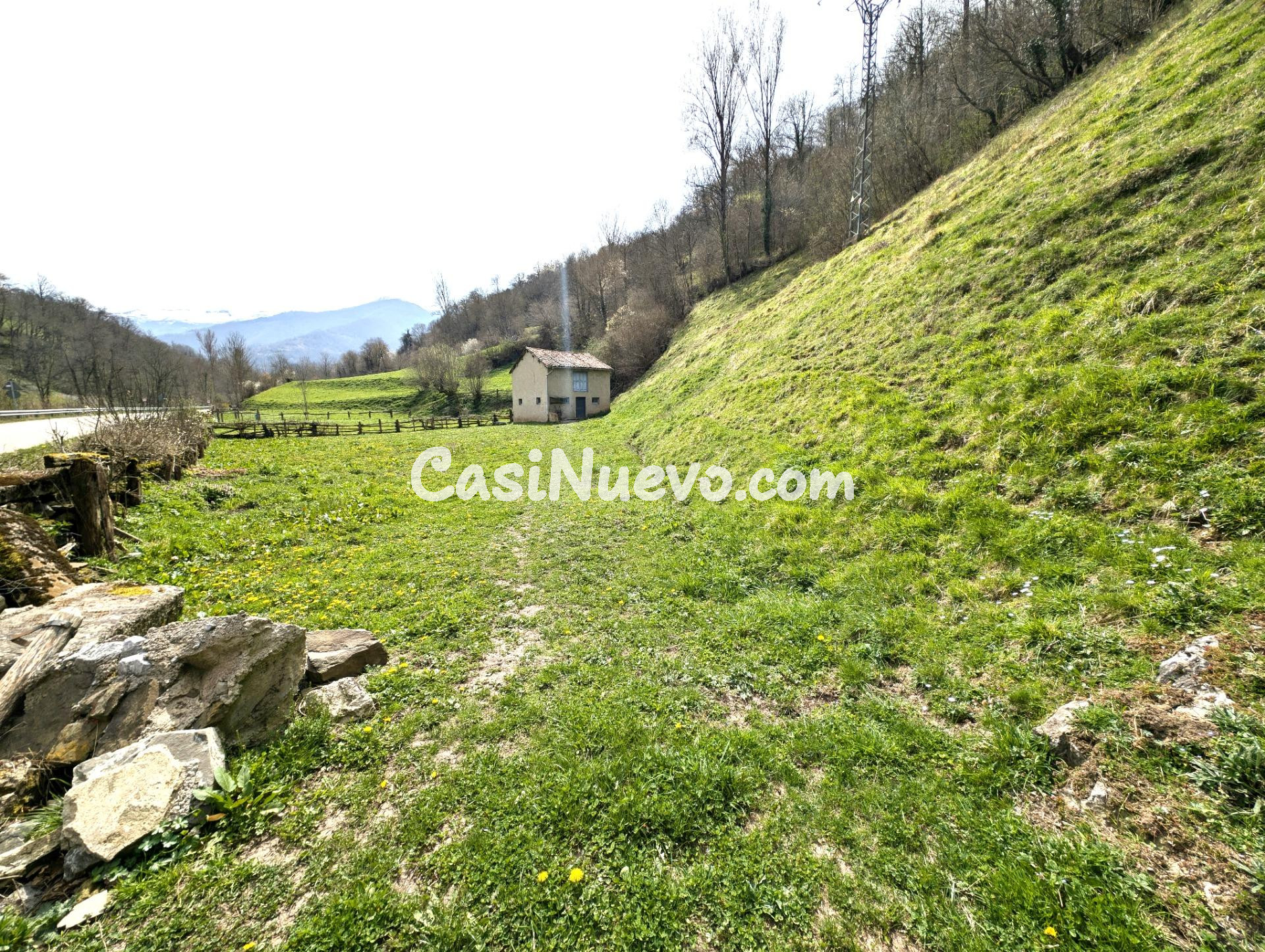 CUADRA CON FINCA DE 3000 M2 EN CASOMERA ALLER - foto 5