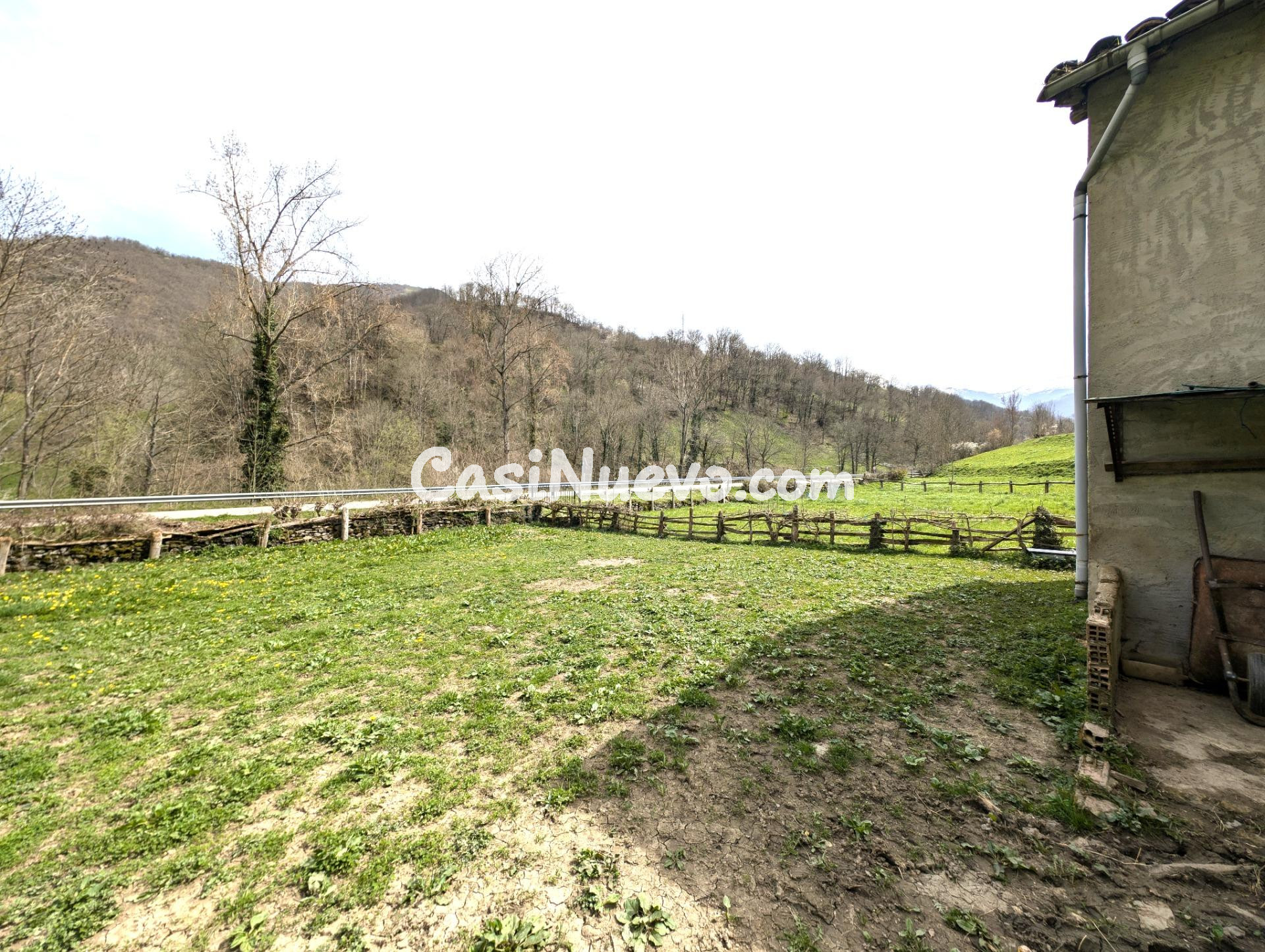CUADRA CON FINCA DE 3000 M2 EN CASOMERA ALLER - foto 6