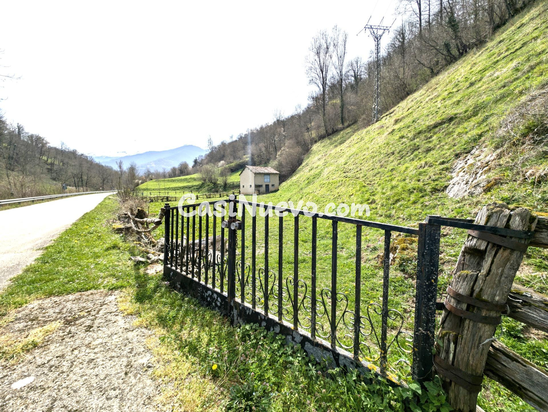 CUADRA CON FINCA DE 3000 M2 EN CASOMERA ALLER - foto 10