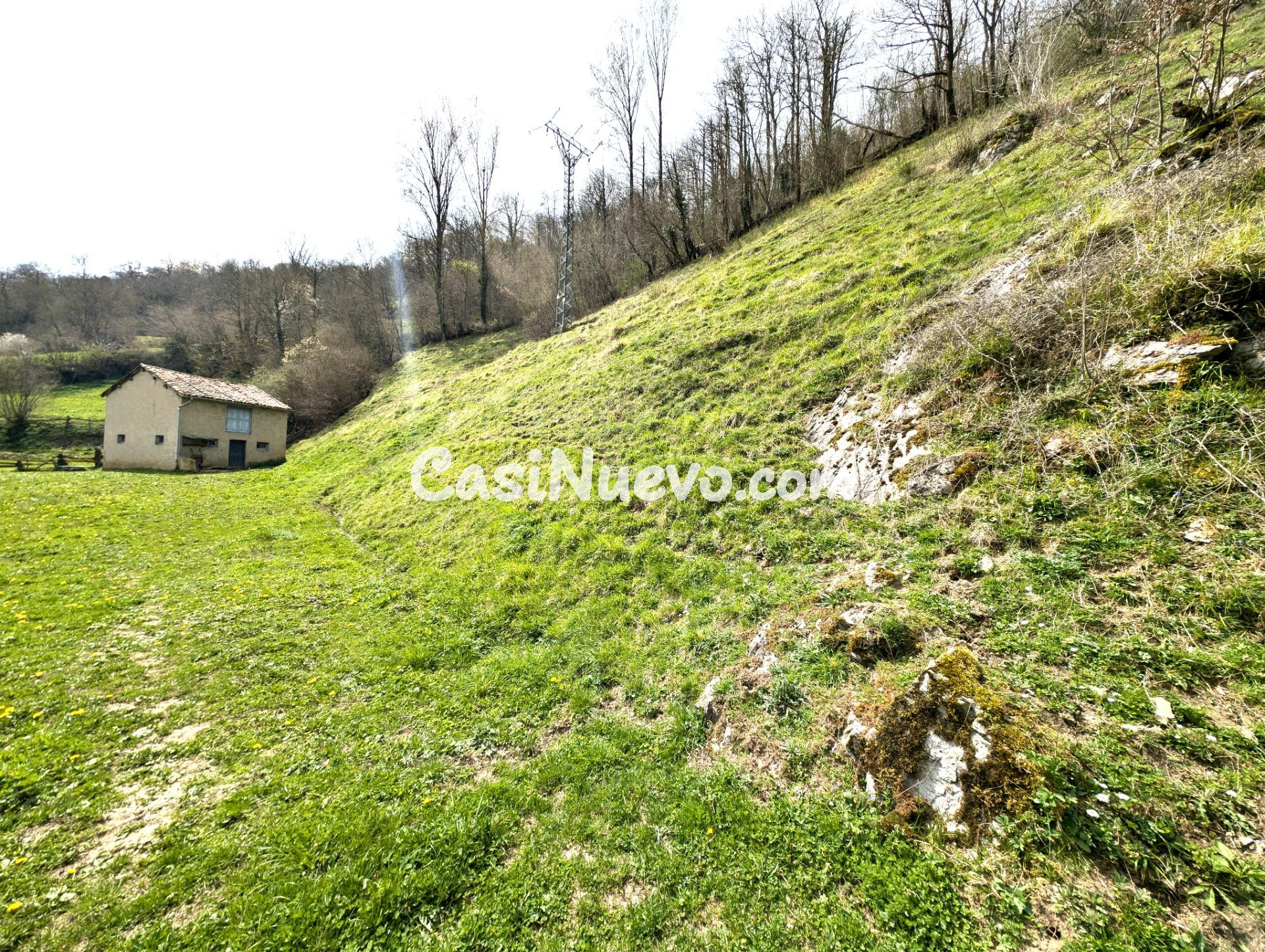 CUADRA CON FINCA DE 3000 M2 EN CASOMERA ALLER - foto 11