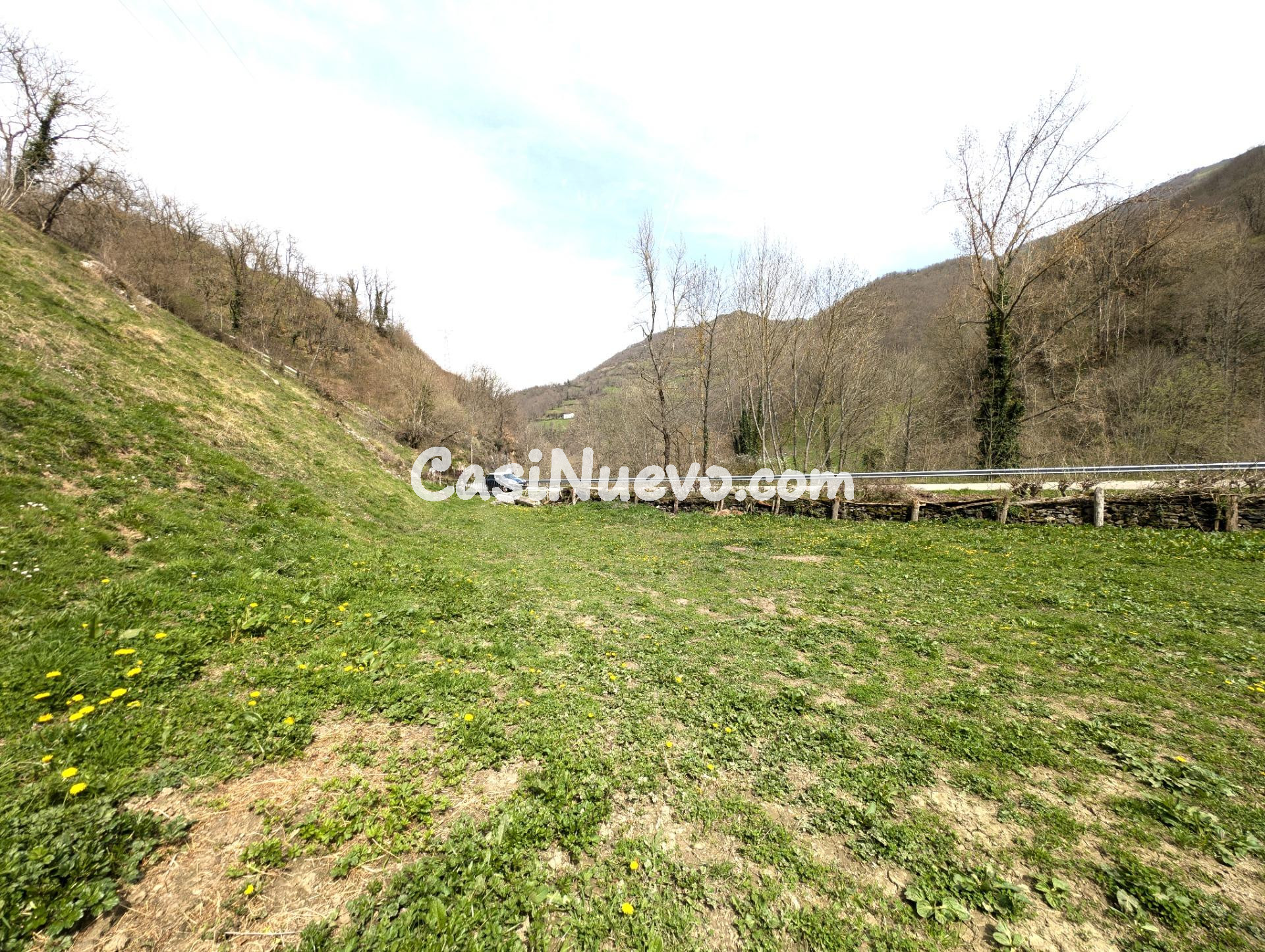 CUADRA CON FINCA DE 3000 M2 EN CASOMERA ALLER - foto 12