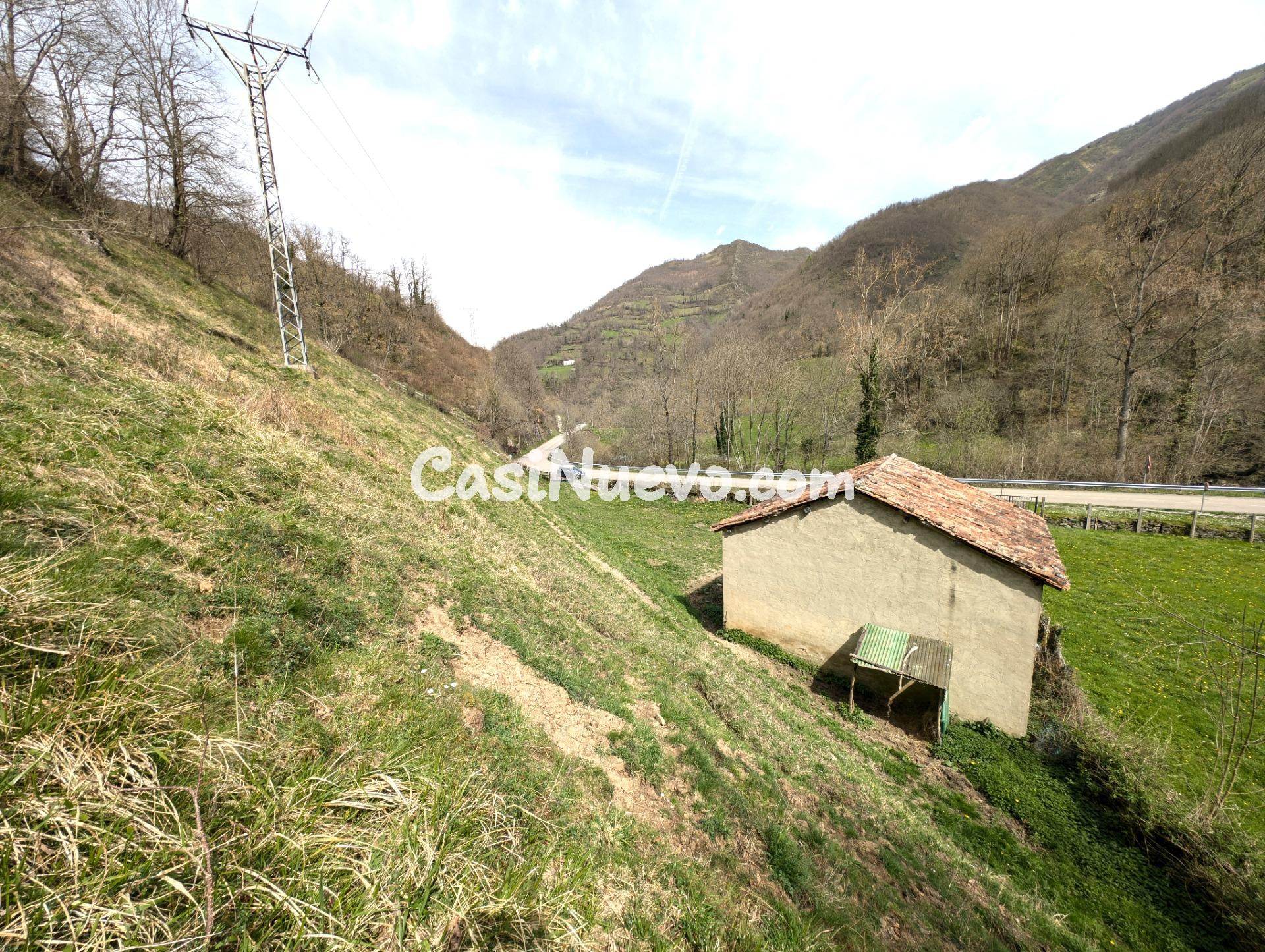 CUADRA CON FINCA DE 3000 M2 EN CASOMERA ALLER - foto 16