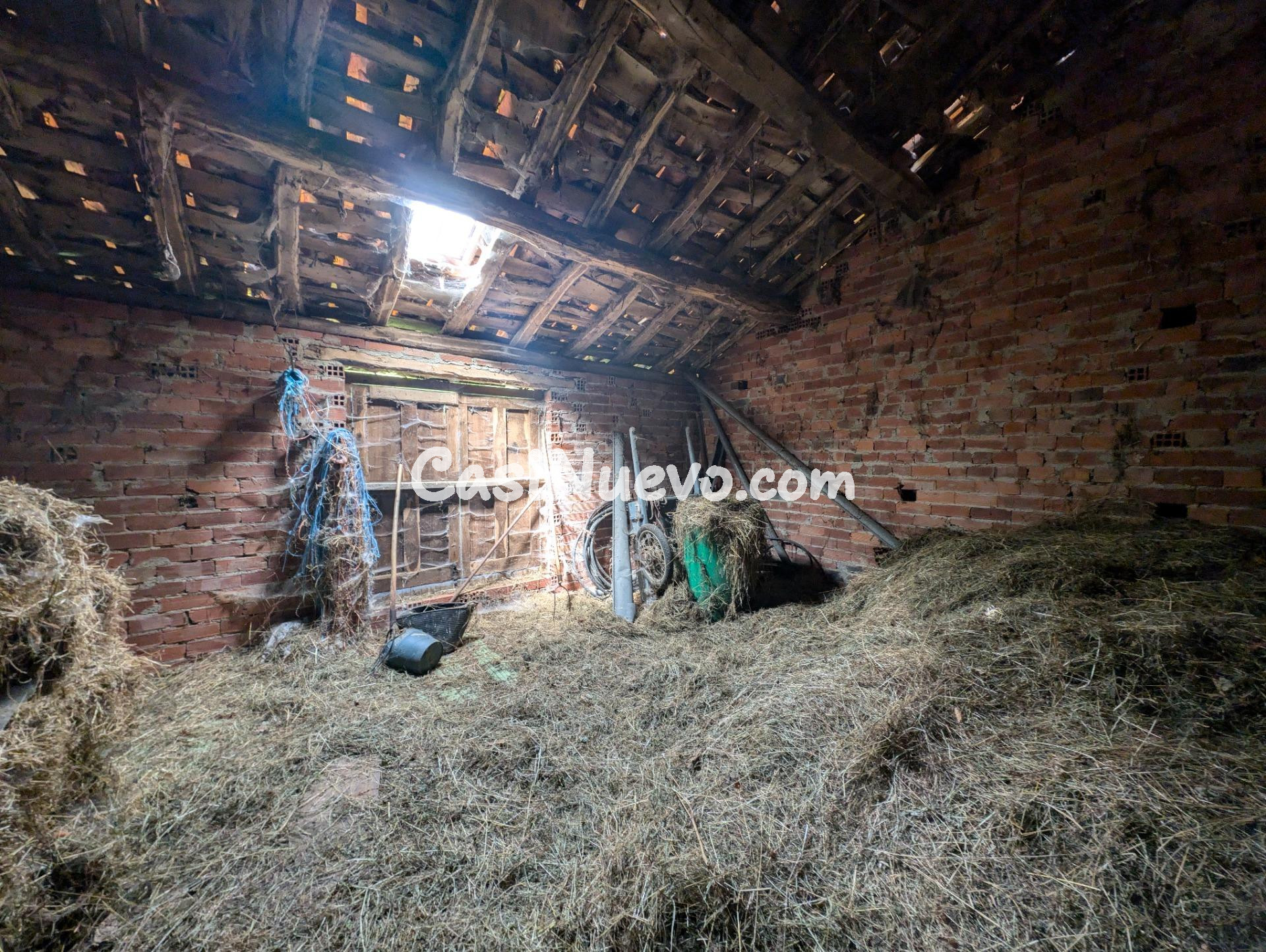 CUADRA CON FINCA DE 3000 M2 EN CASOMERA ALLER - foto 20