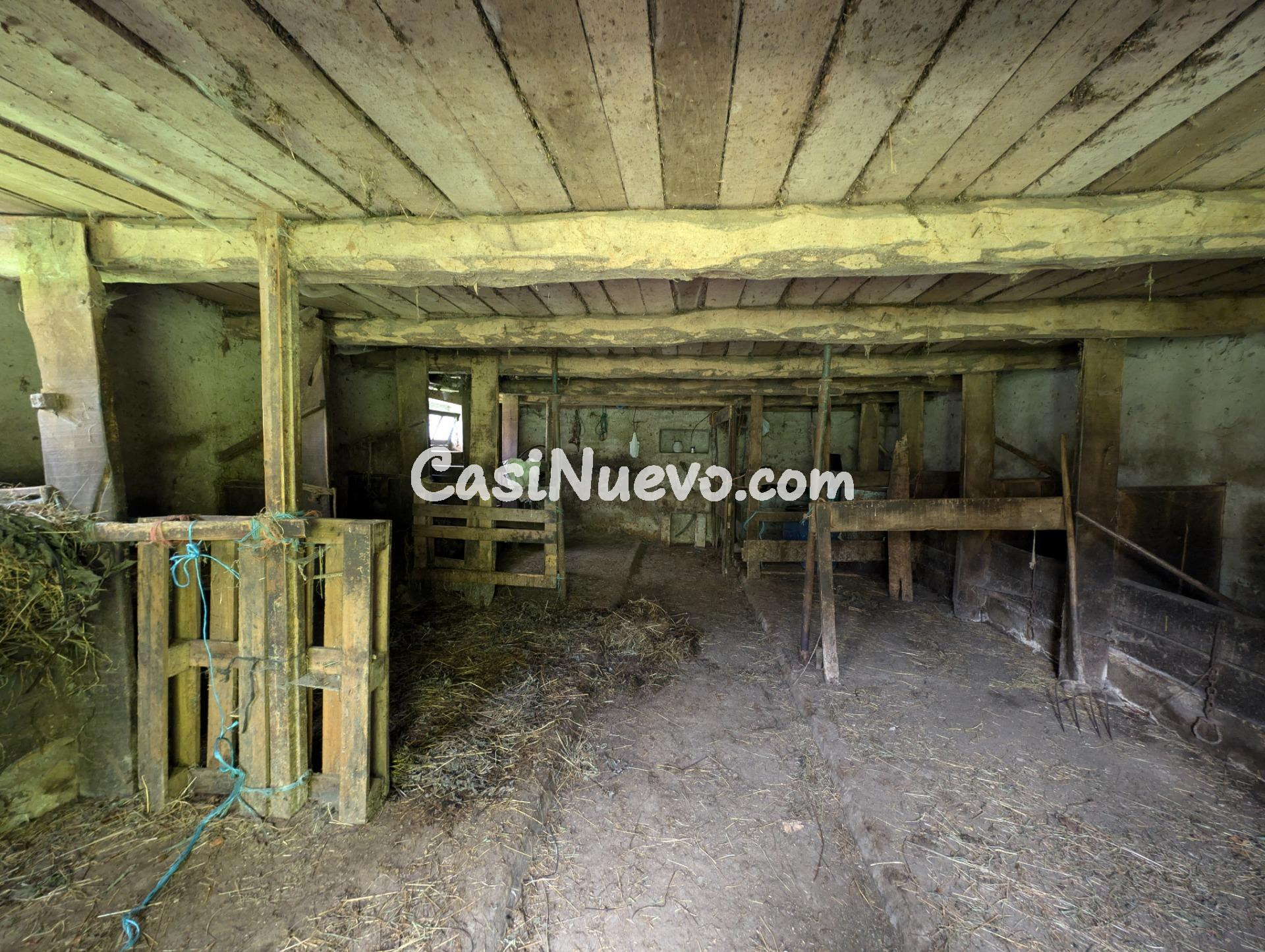 CUADRA CON FINCA DE 3000 M2 EN CASOMERA ALLER - foto 22