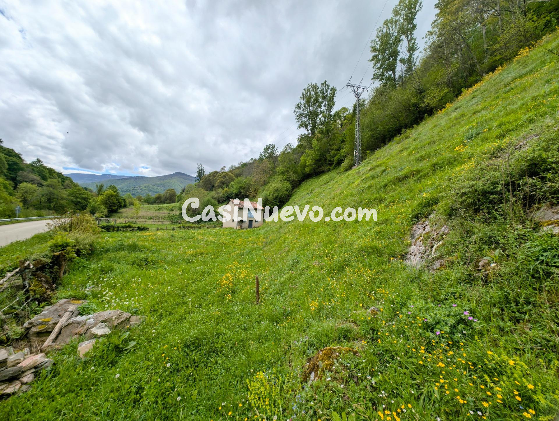 CUADRA CON FINCA DE 3000 M2 EN CASOMERA ALLER - foto 25