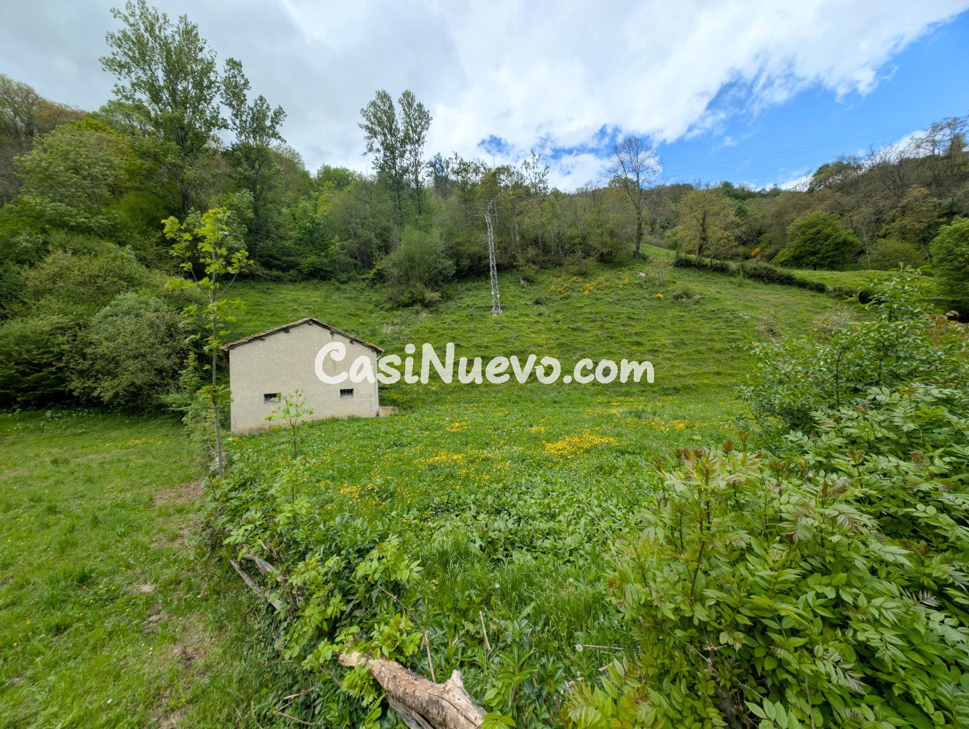 CUADRA CON FINCA DE 3000 M2 EN CASOMERA ALLER - foto 29