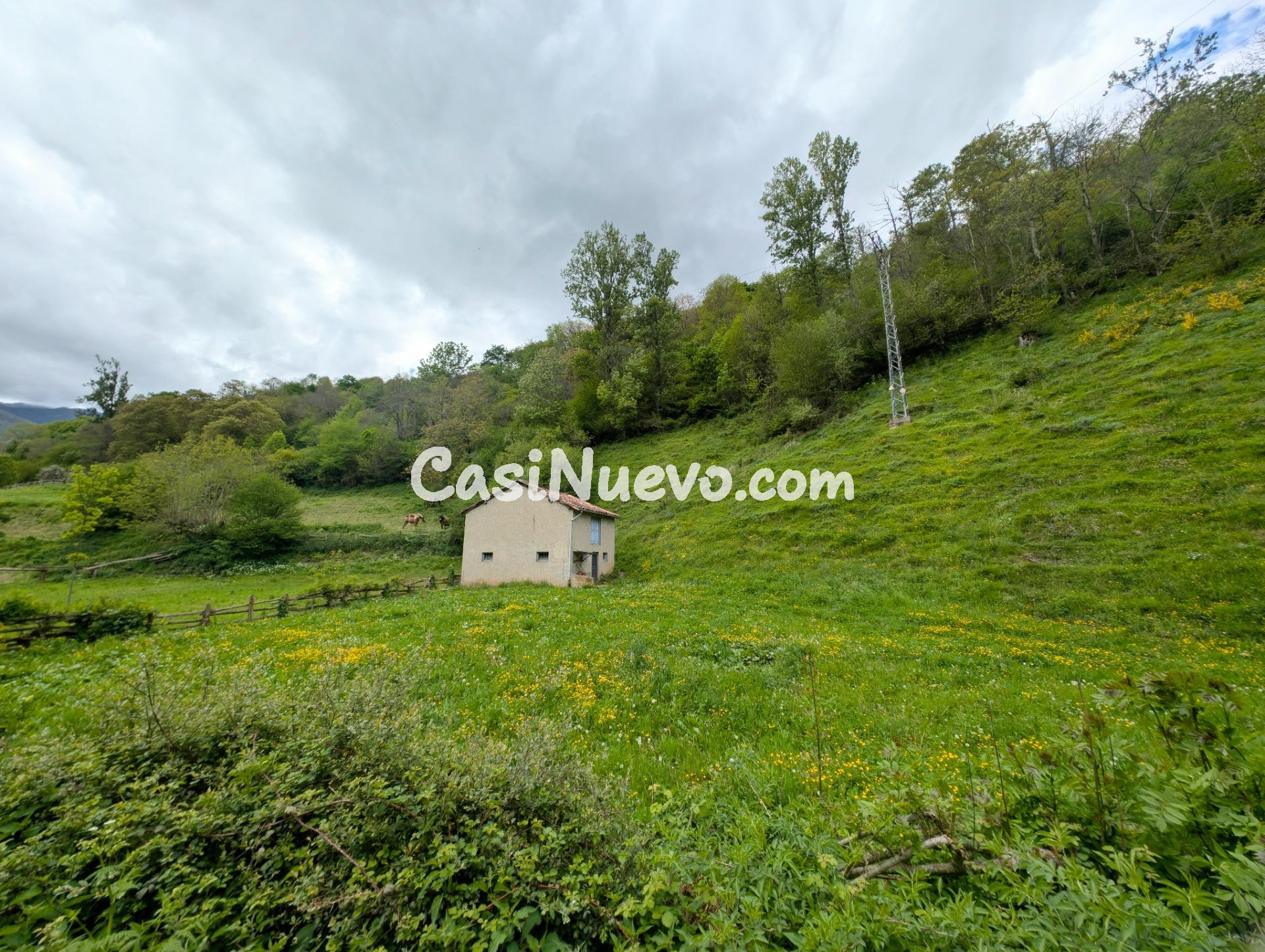 CUADRA CON FINCA DE 3000 M2 EN CASOMERA ALLER - foto 30