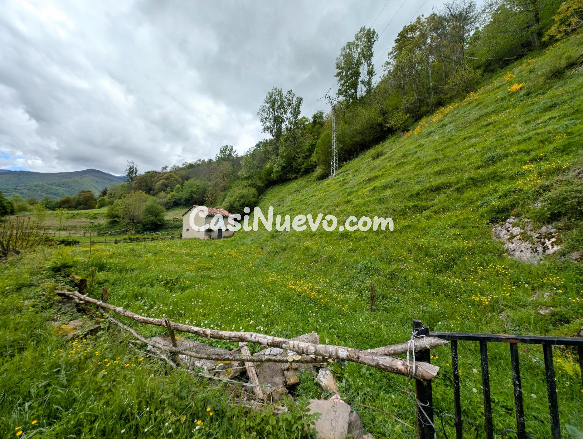 CUADRA CON FINCA DE 3000 M2 EN CASOMERA ALLER - foto 31