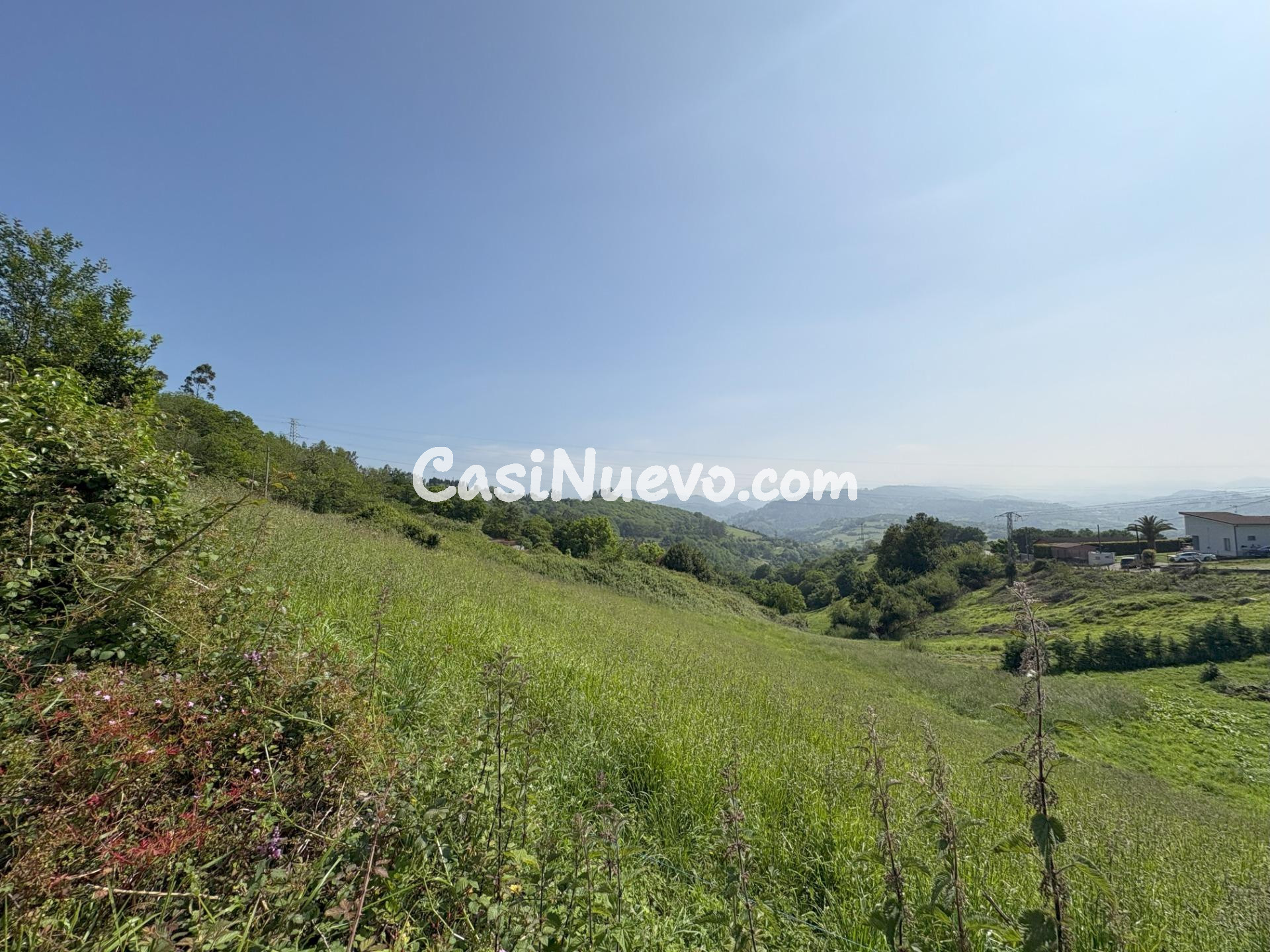 FINCA EDIFICABLE DE 3013 METROS CUADRADOS EN LAS REGUERAS -  - foto 3