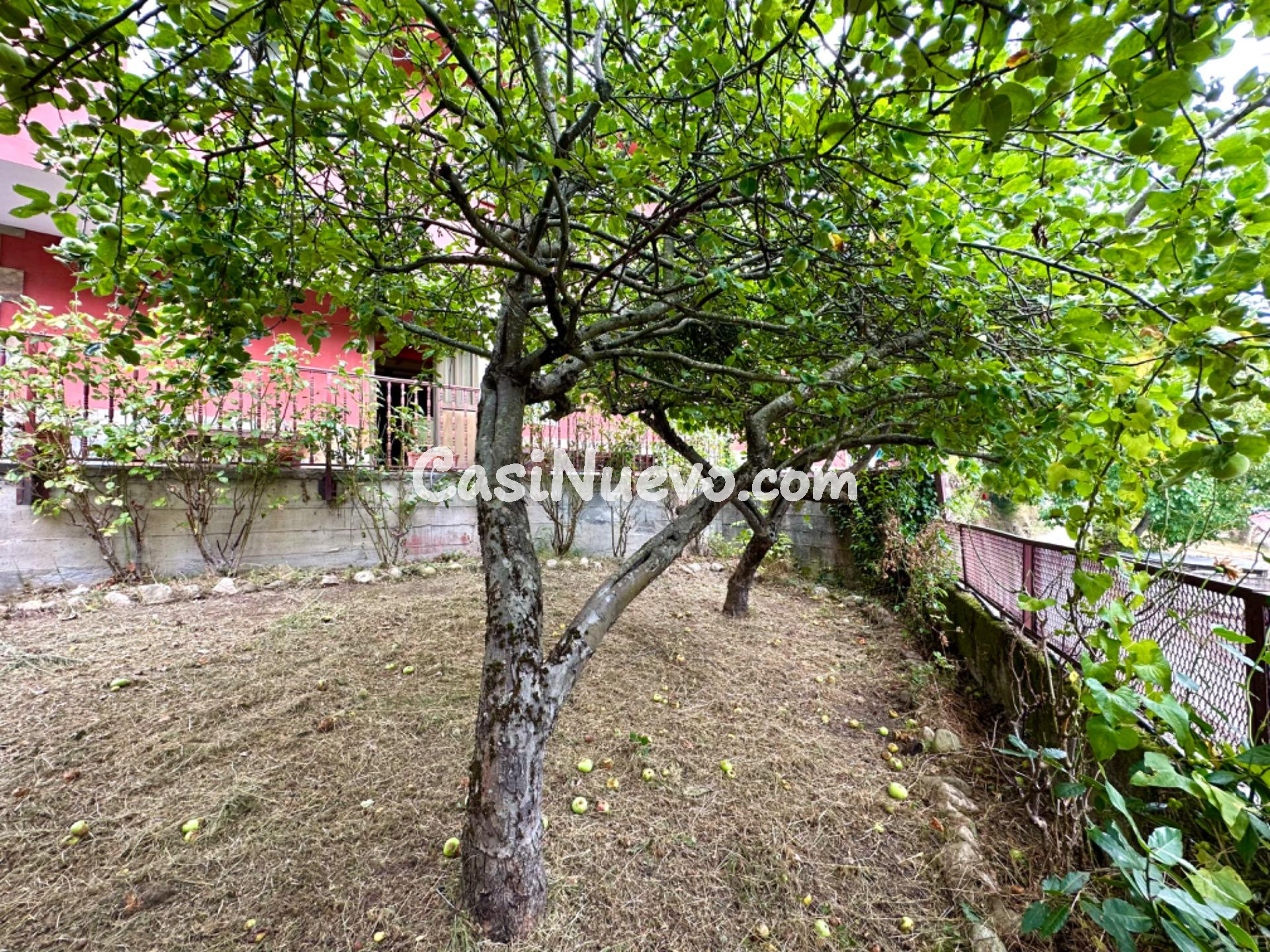 CASA DE 3 PLANTAS CON JARDIN, PARCELA URBANA Y GARAJE. EN LL - foto 5