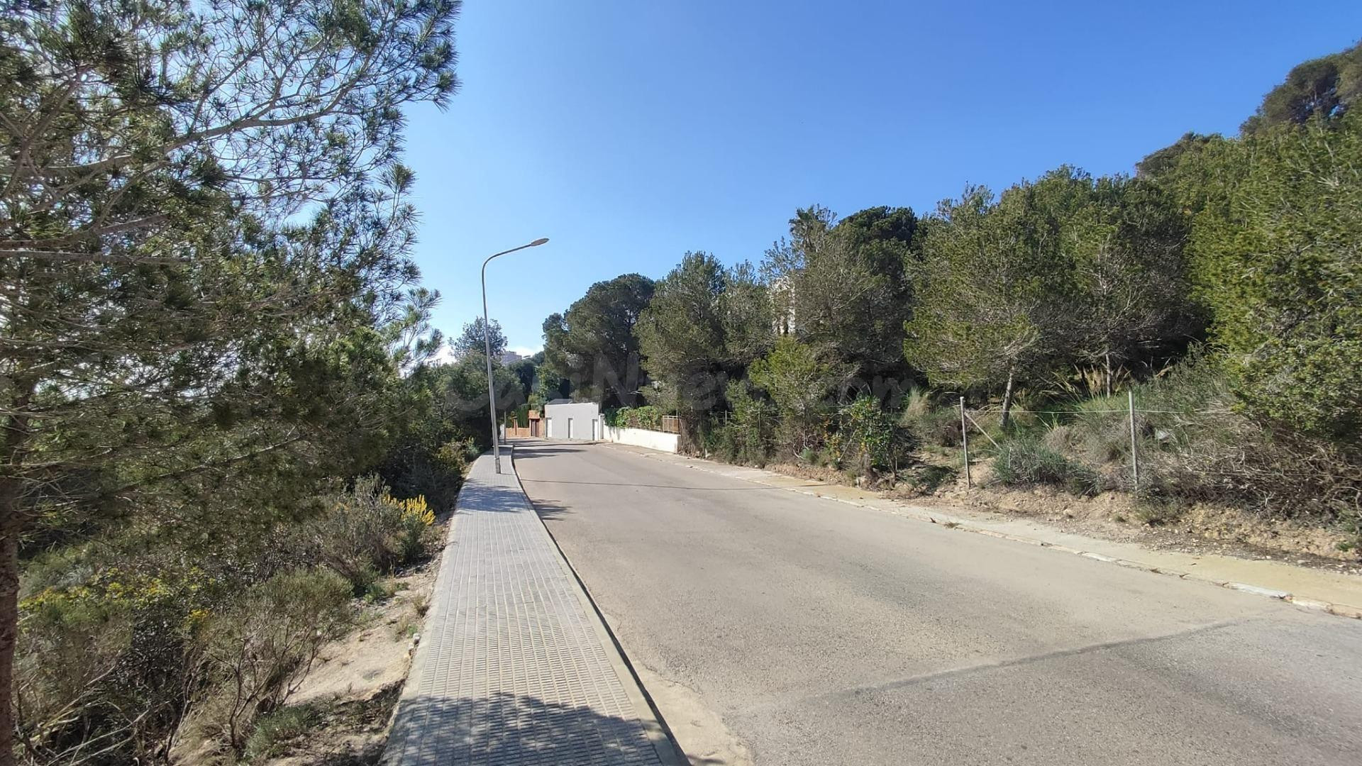 SE VENDE PARCELA EN CAMPO AMOR ( ORIHUELA COSTA )