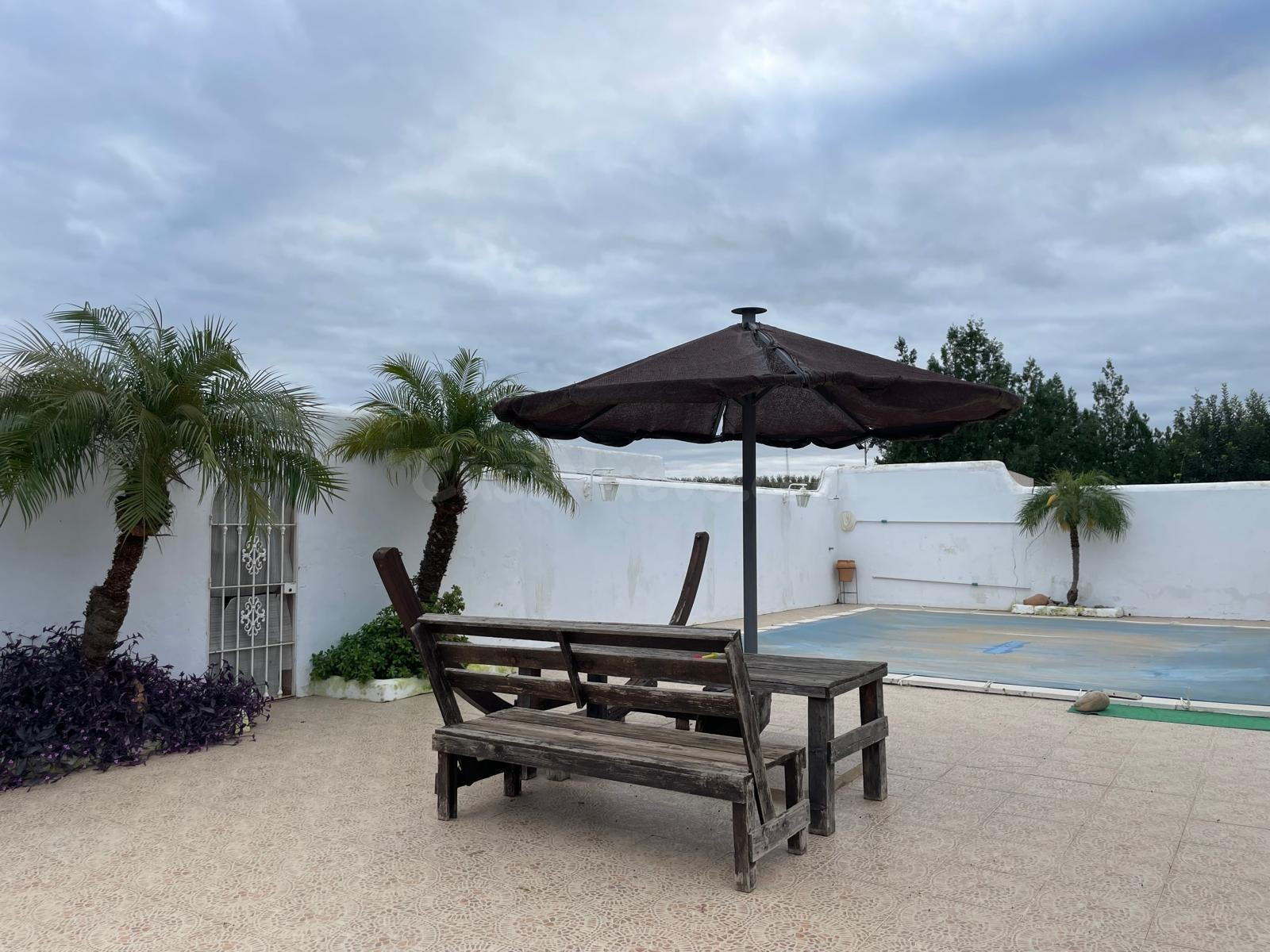 ESPECTACULAR FINCA CON DOS VIVIENDAS Y PISCINA - foto 5