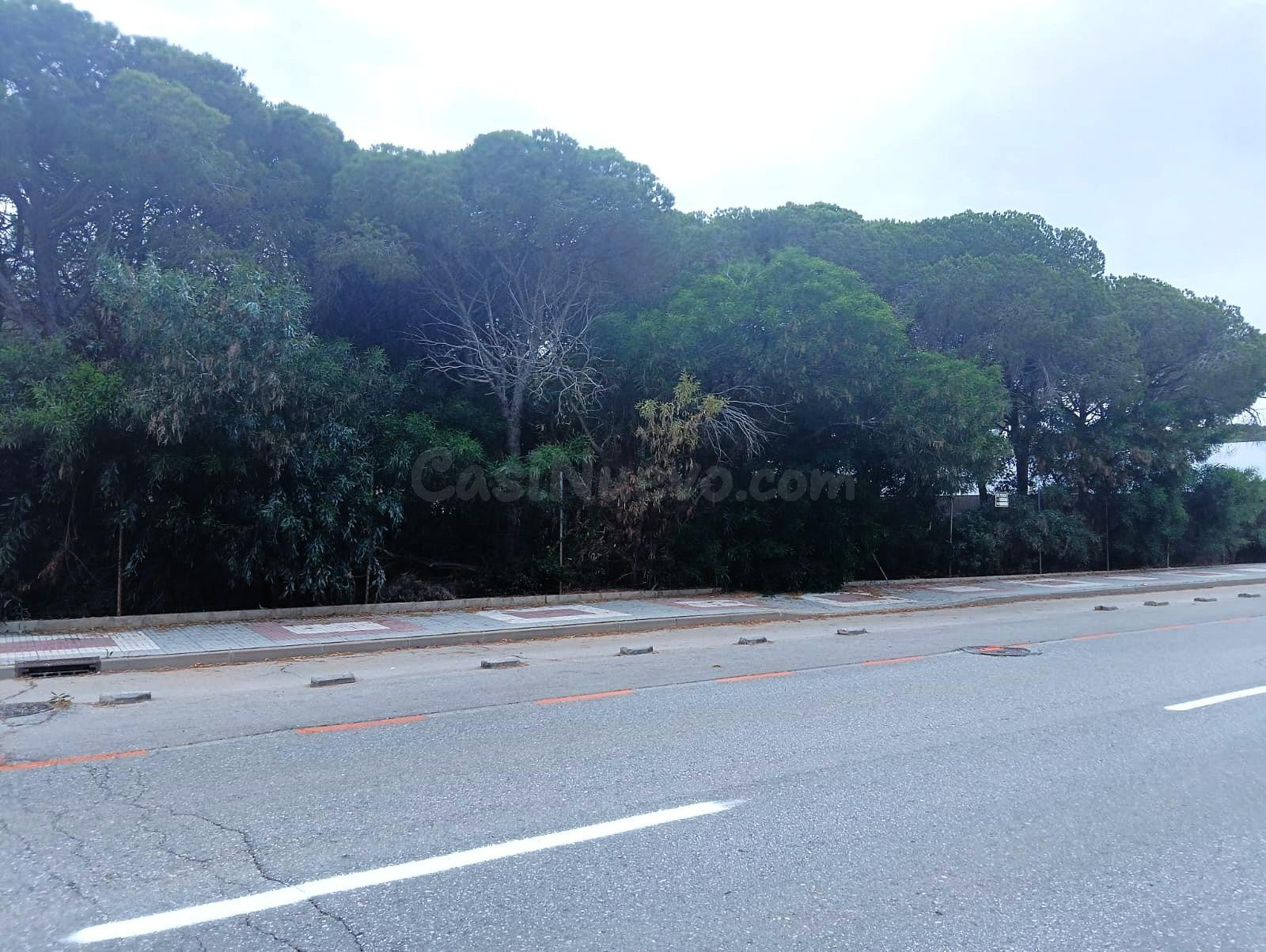 PARCELA URBANA EN LA BARROSA DE 2100M