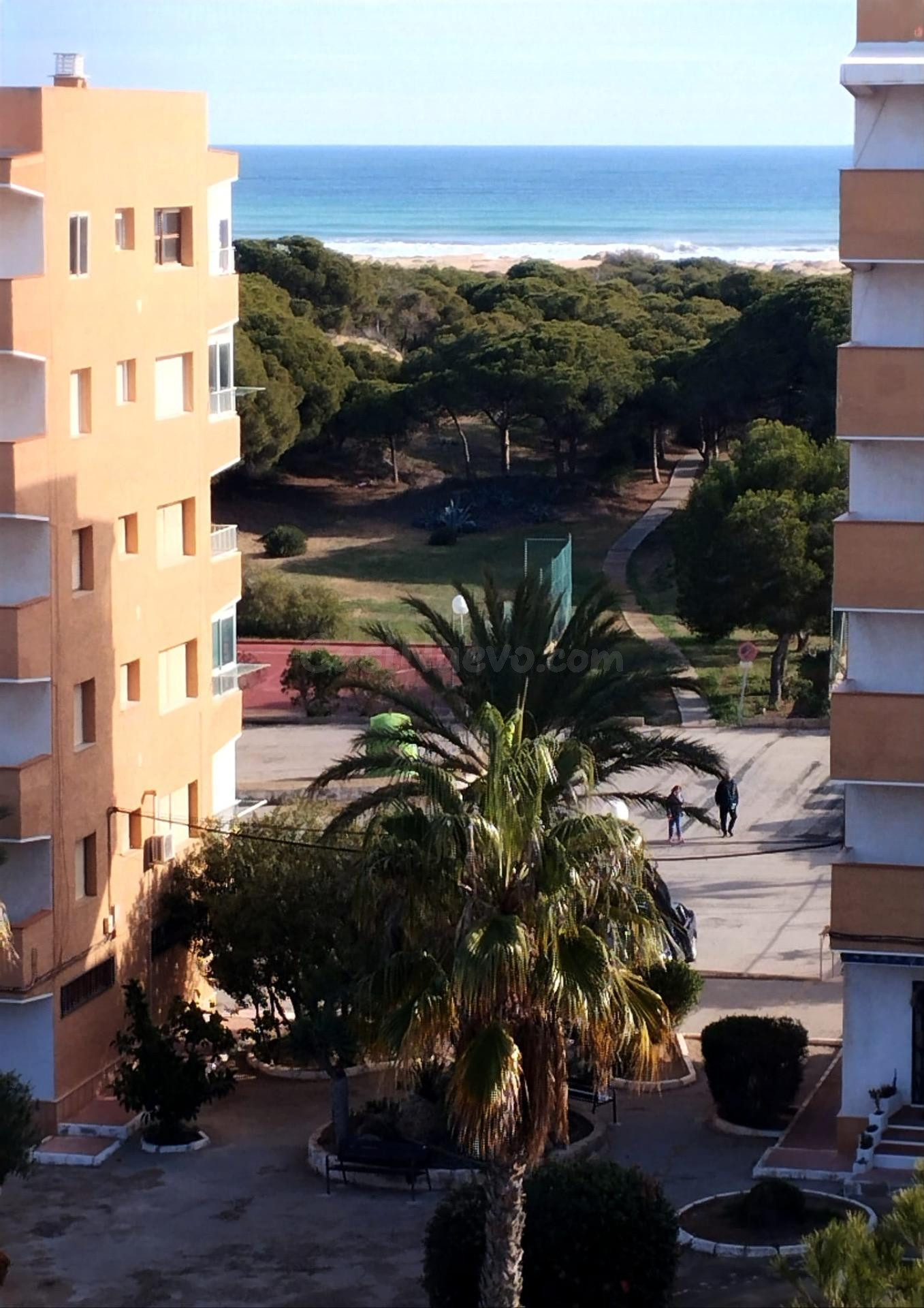 BONITO APARTAMENTO EN GUARDAMAR DEL SEGURA A 500 METROS DEL MAR