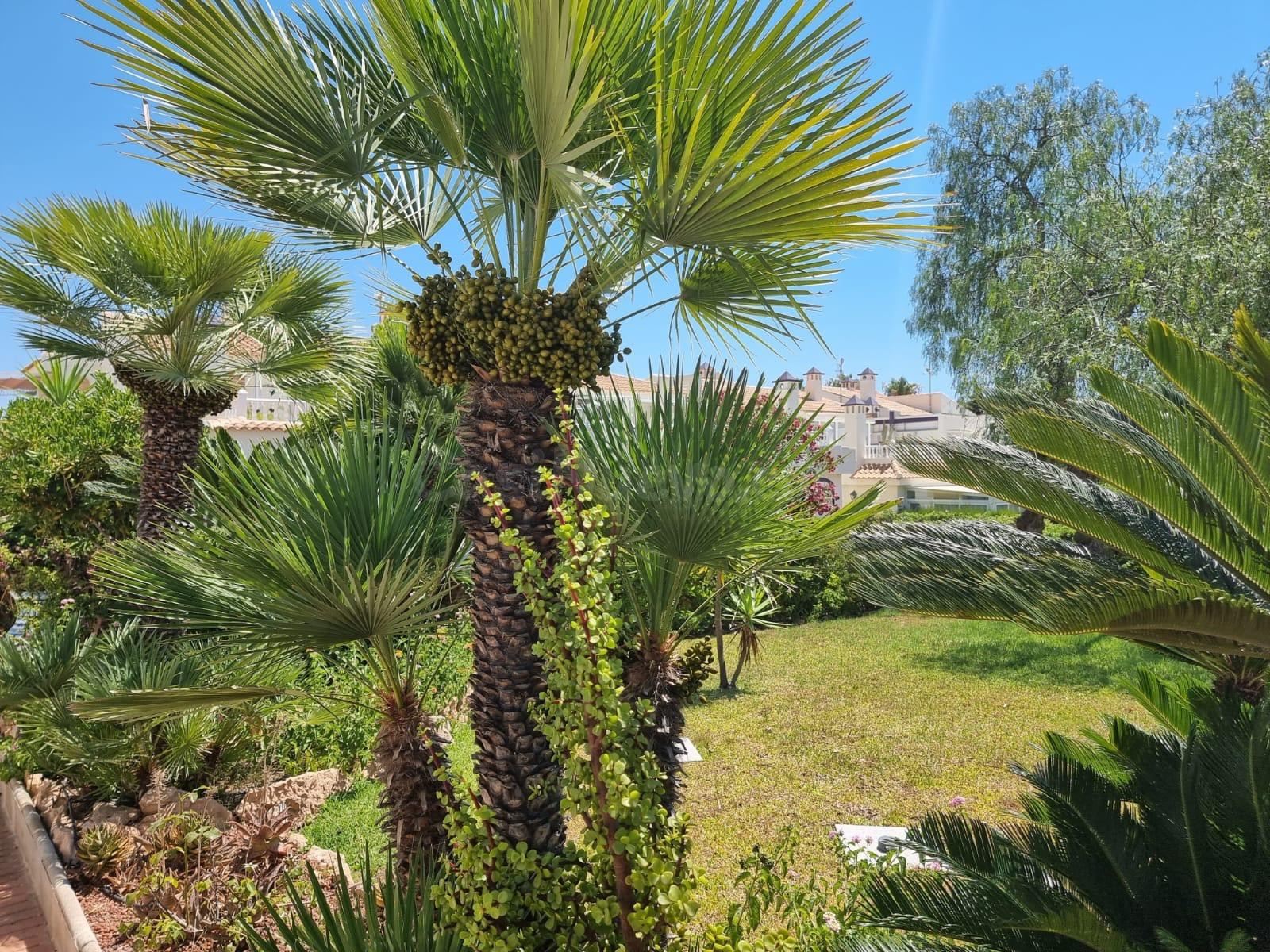 PLANTA BAJA DE 2 DORMITORIOS CON JARDÍN Y PISCINA COMUNITARI - foto 5