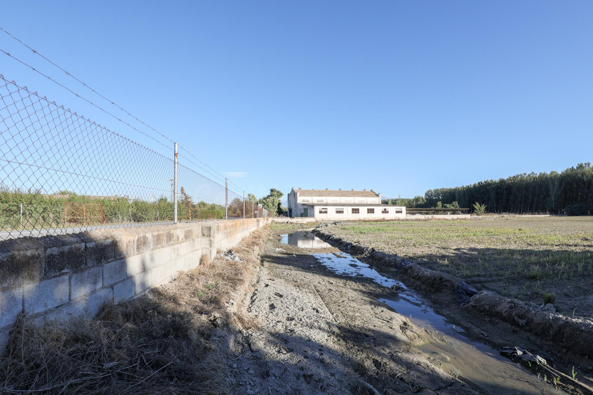 Gran finca Rústica y Urbana de 23.000 metros y construcción  - foto 2