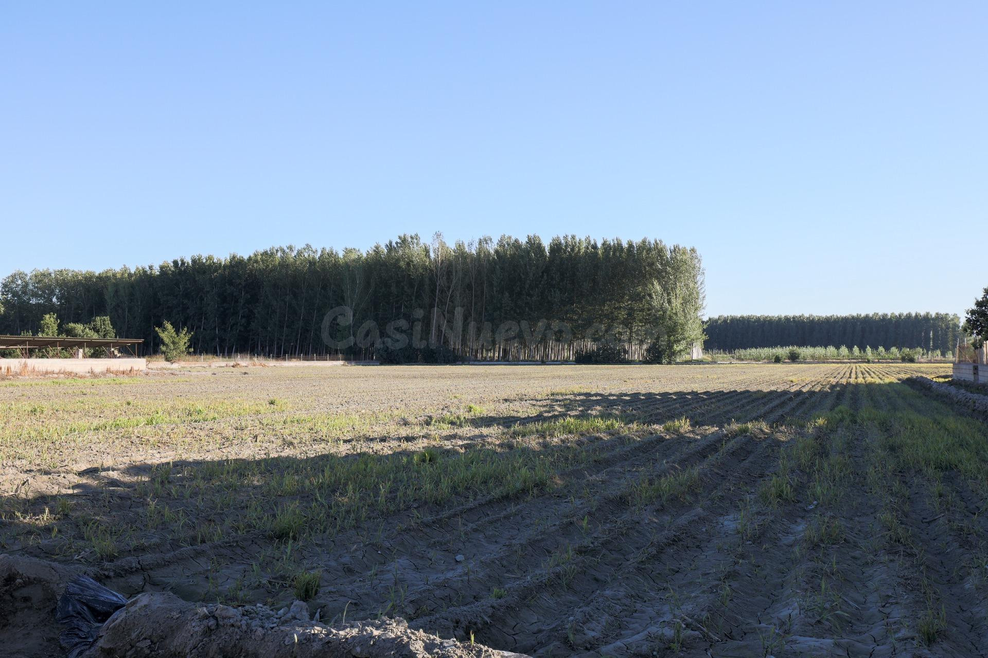 Gran finca Rústica y Urbana de 23.000 metros y construcción  - foto 3