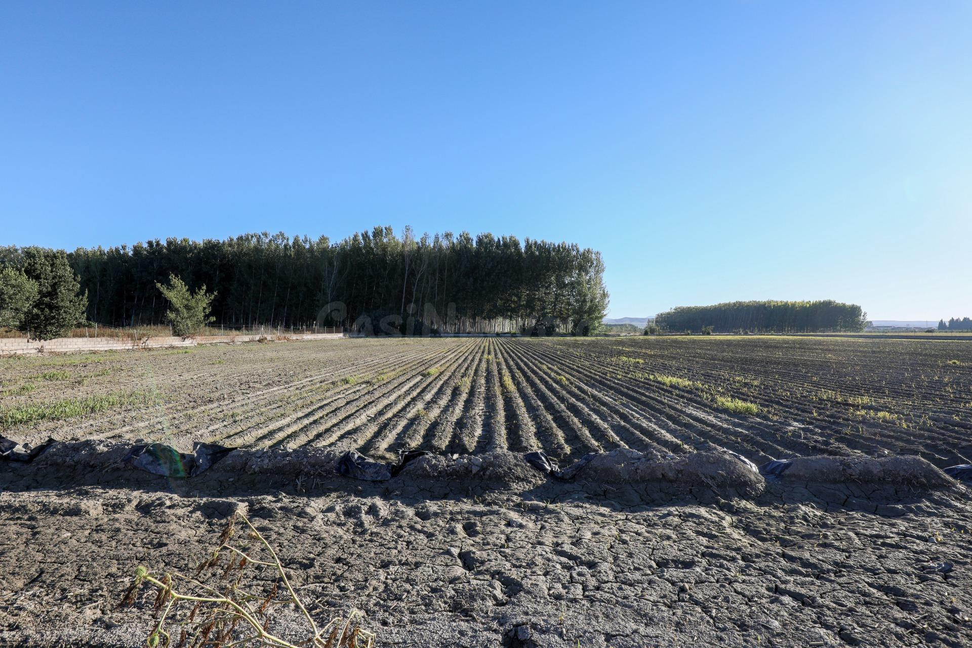 Gran finca Rústica y Urbana de 23.000 metros y construcción  - foto 4