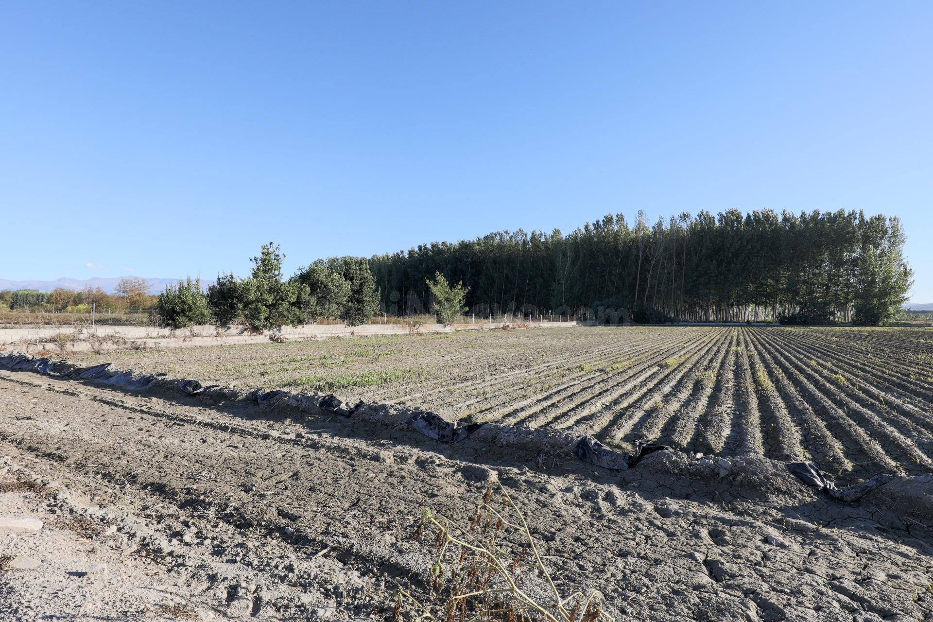 Gran finca Rústica y Urbana de 23.000 metros y construcción  - foto 5
