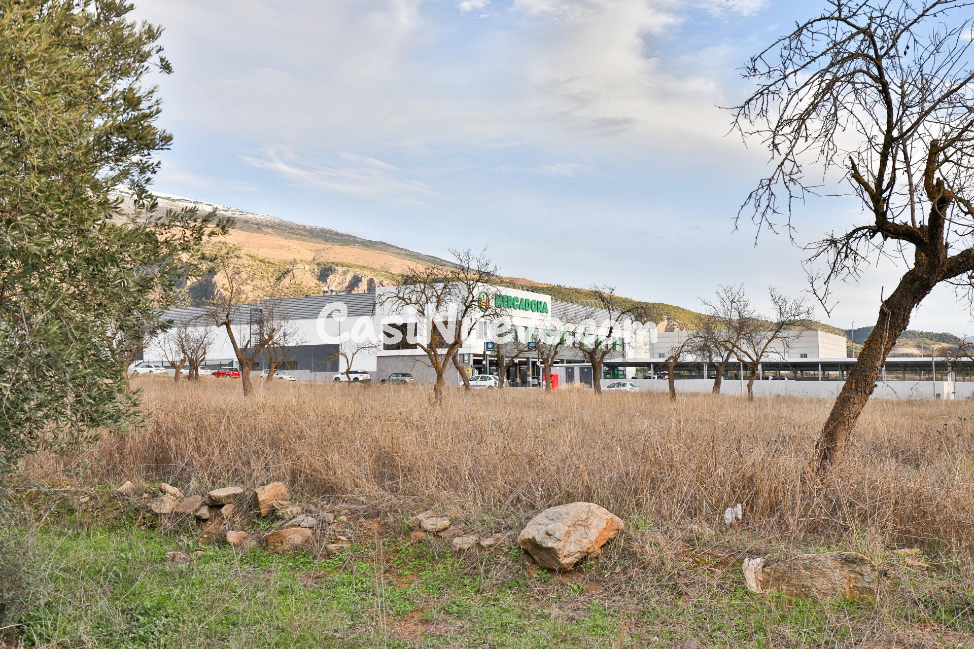 Más de 3000 metros de suelo Urbanizable Industrial frente a 