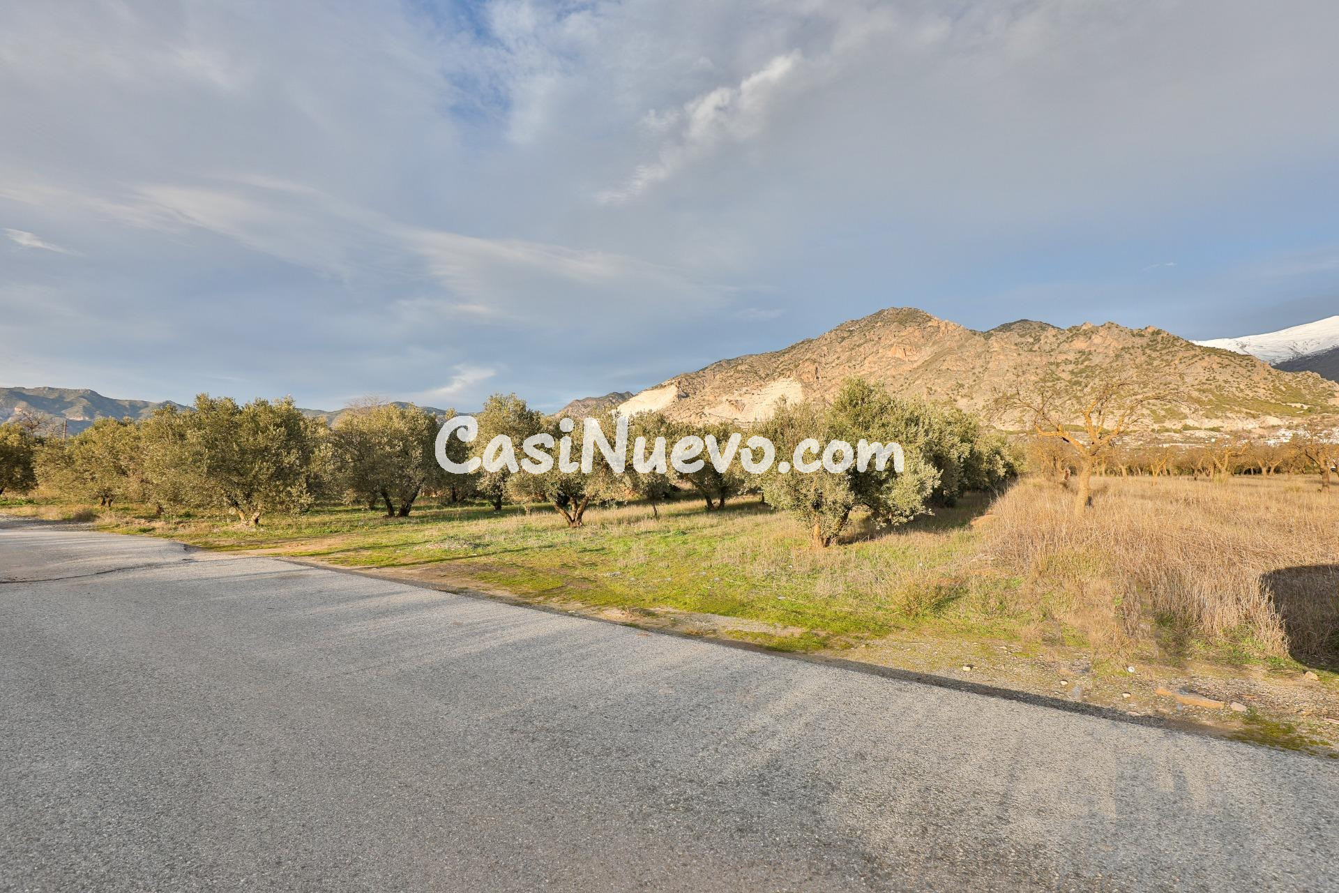 Más de 3000 metros de suelo Urbanizable Industrial frente a  - foto 4