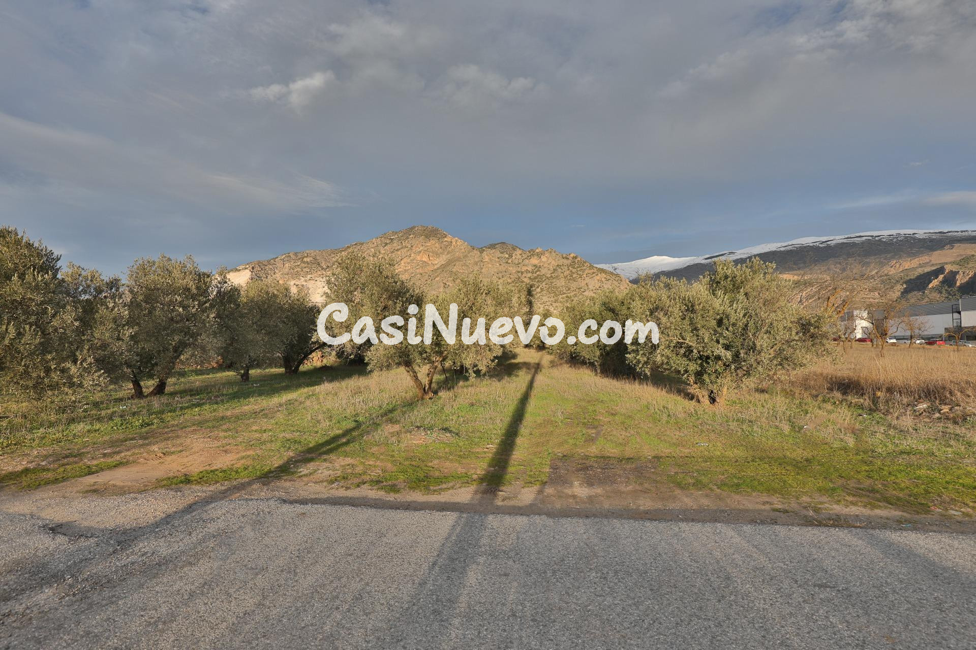 Más de 3000 metros de suelo Urbanizable Industrial frente a  - foto 5