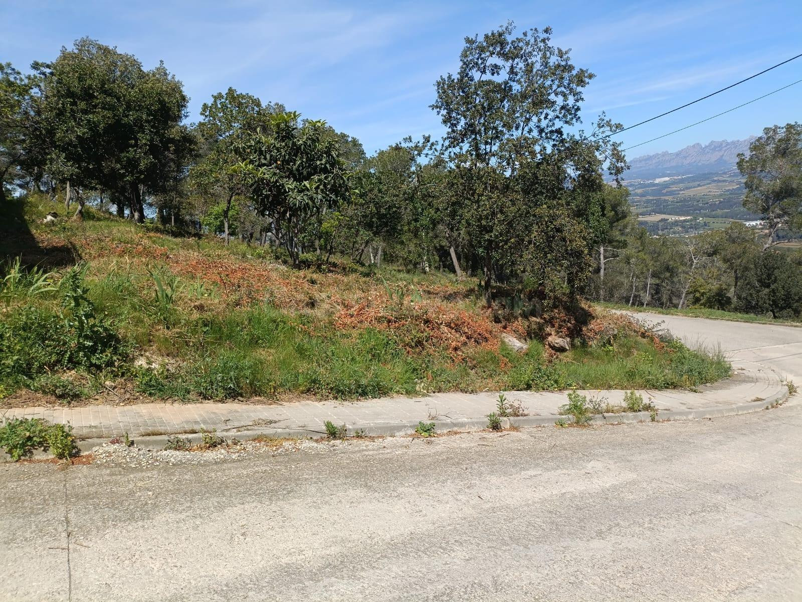 VENTA DE SOLAR EN MARTIVELL - foto 2