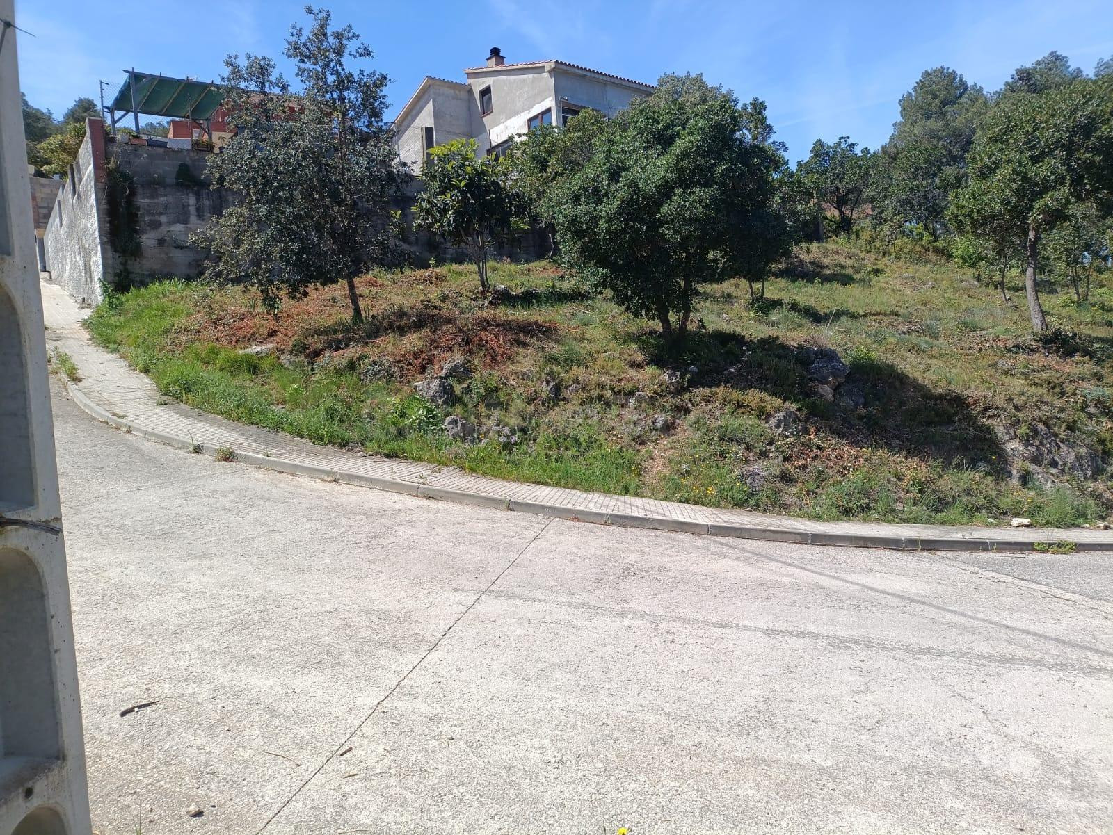 VENTA DE SOLAR EN MARTIVELL - foto 3