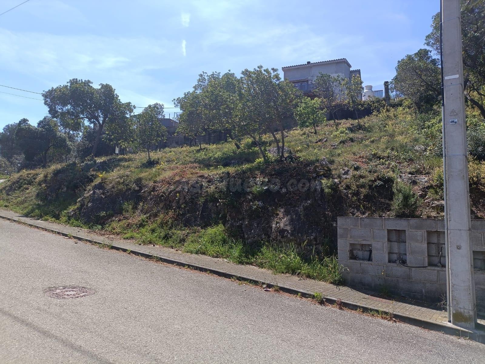 VENTA DE SOLAR EN MARTIVELL - foto 4