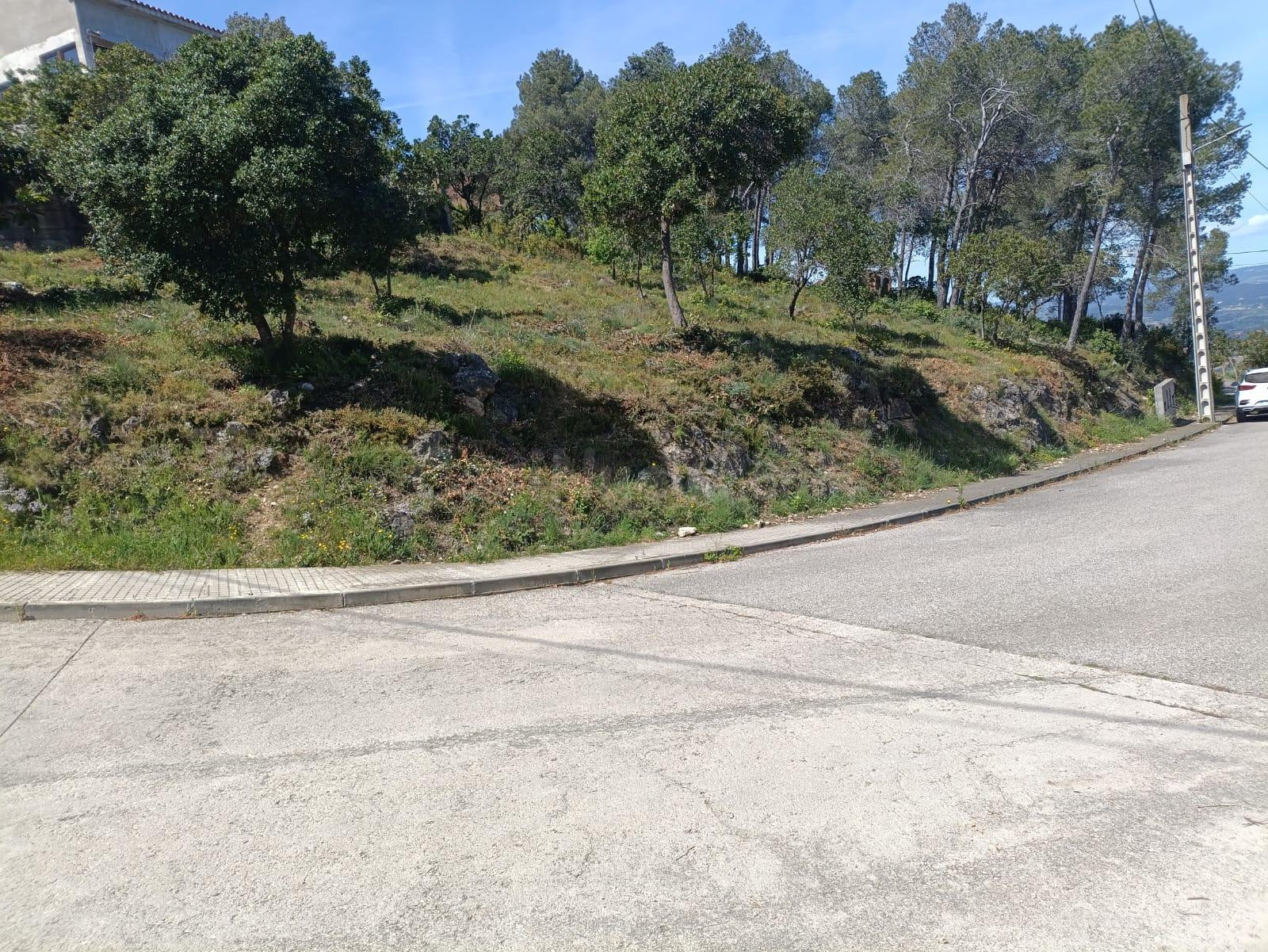 VENTA DE SOLAR EN MARTIVELL - foto 5