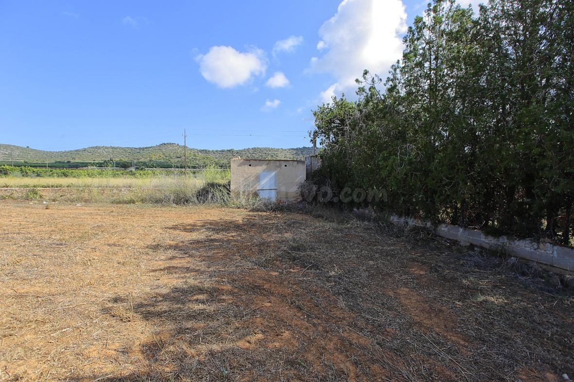 Finca rústica con caseta de aperos - foto 2