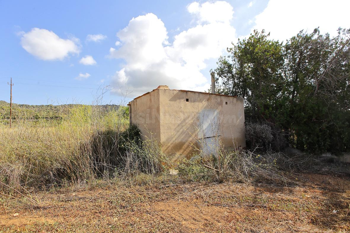 Finca rústica con caseta de aperos - foto 3