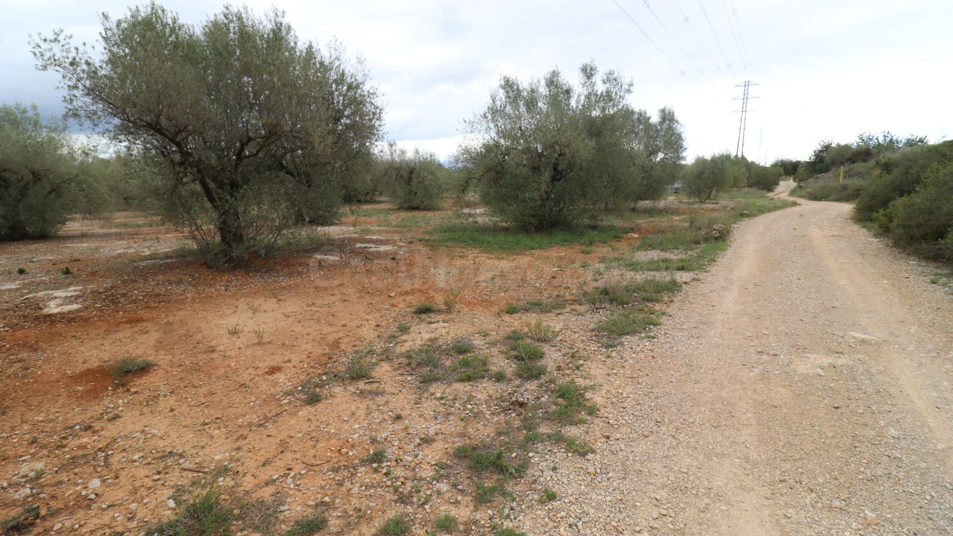 APARTAMENTOS EN UNA RESIDENCIAL EN ORIHUELA COSTA, 2 DOR,2 B - foto 5