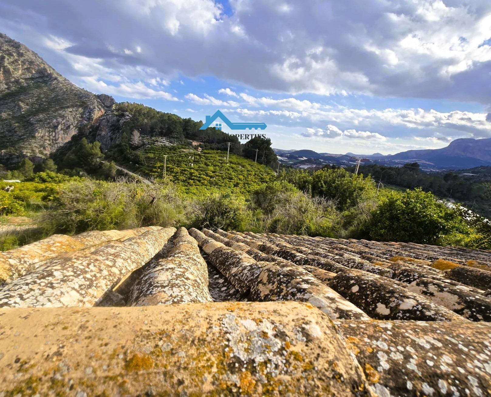 Finca Rústica con naranjos y vistas panorámicas en Callosa d'en Sarrià, Alicante - foto 5