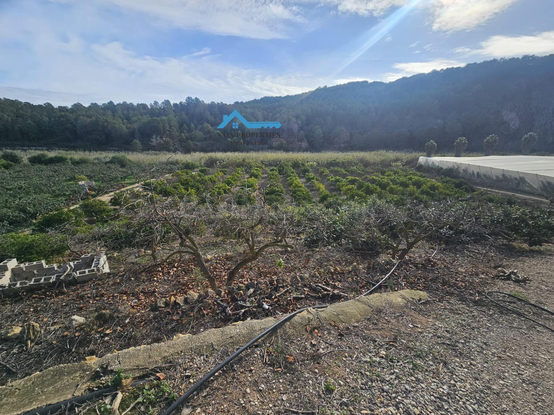 Finca rústica con gran parcela y múltiples posibilidades cerca de Altea