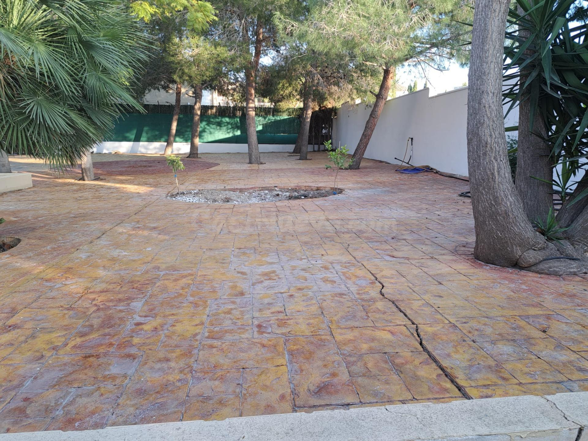 MARAVILLOSO CHALET EN LA ALCAYNA - foto 4