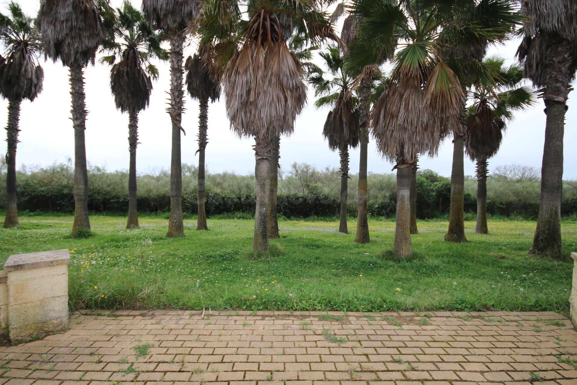Piso en venta en Avenida de la Mojarra Punta del Moral - foto 3