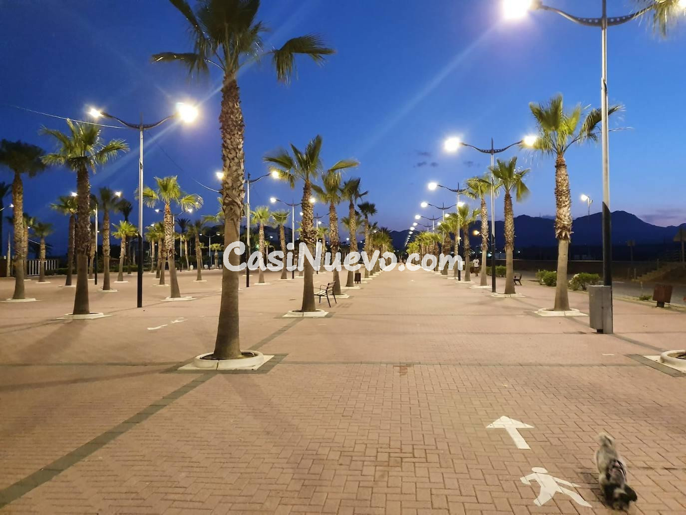 Fantásticas villas a estrenar de 3 dormitorios en el centro  - foto 29