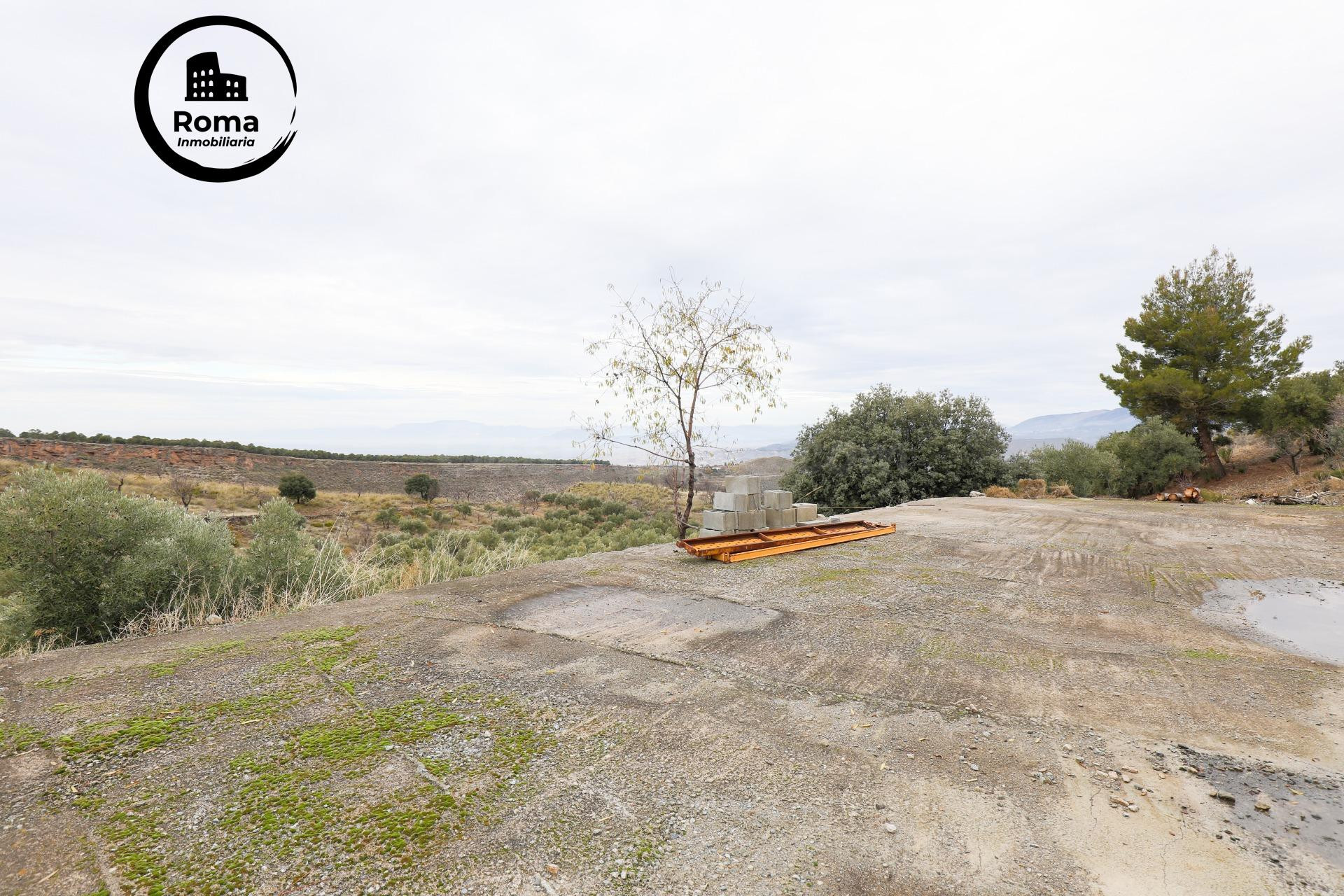 Magnífica finca de 400 olivos en Monachil