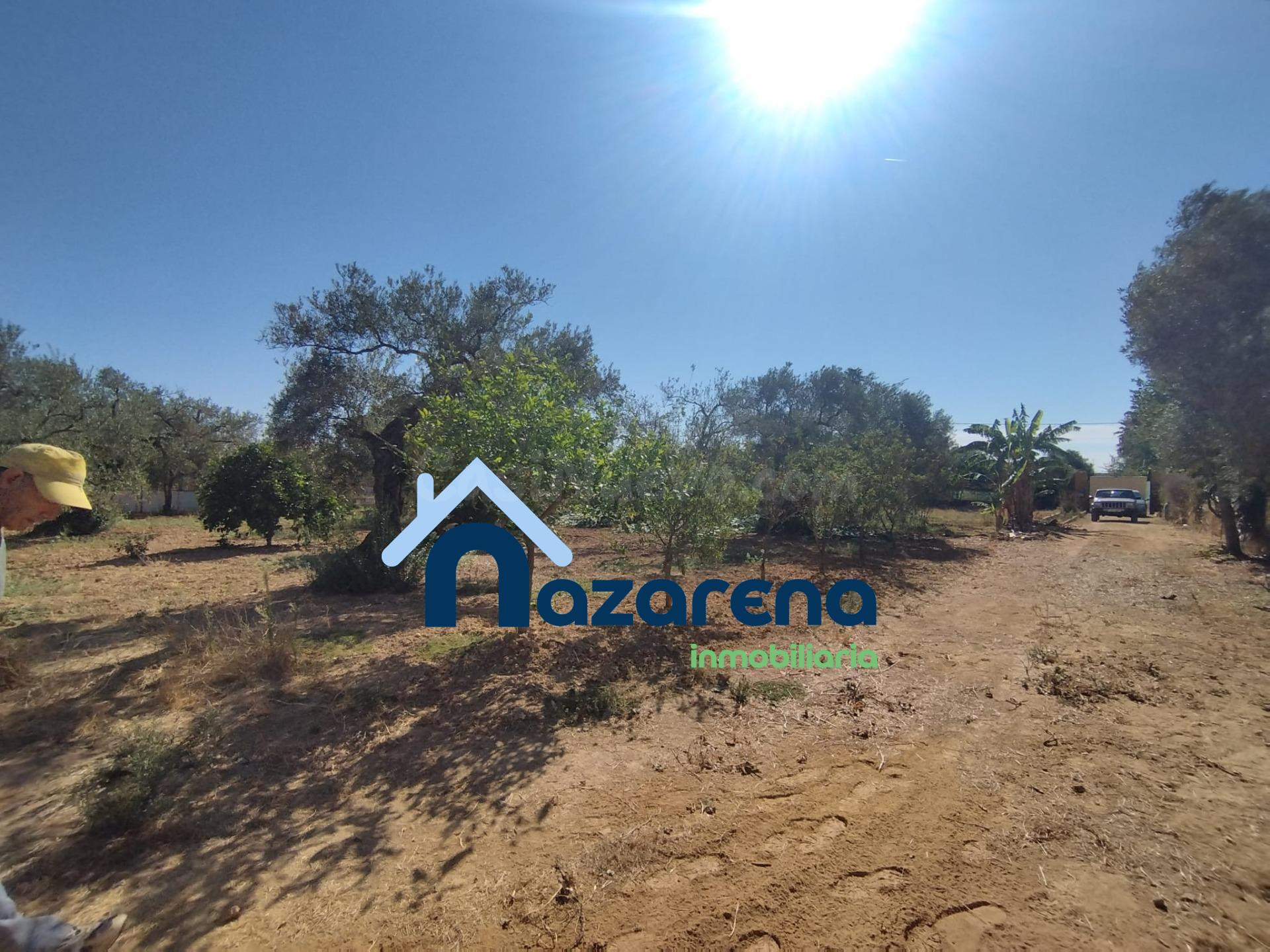 PARCELA RUSTICA EN LA PORTUGUESA (ALCALA DE GUADAIRA) - foto 3