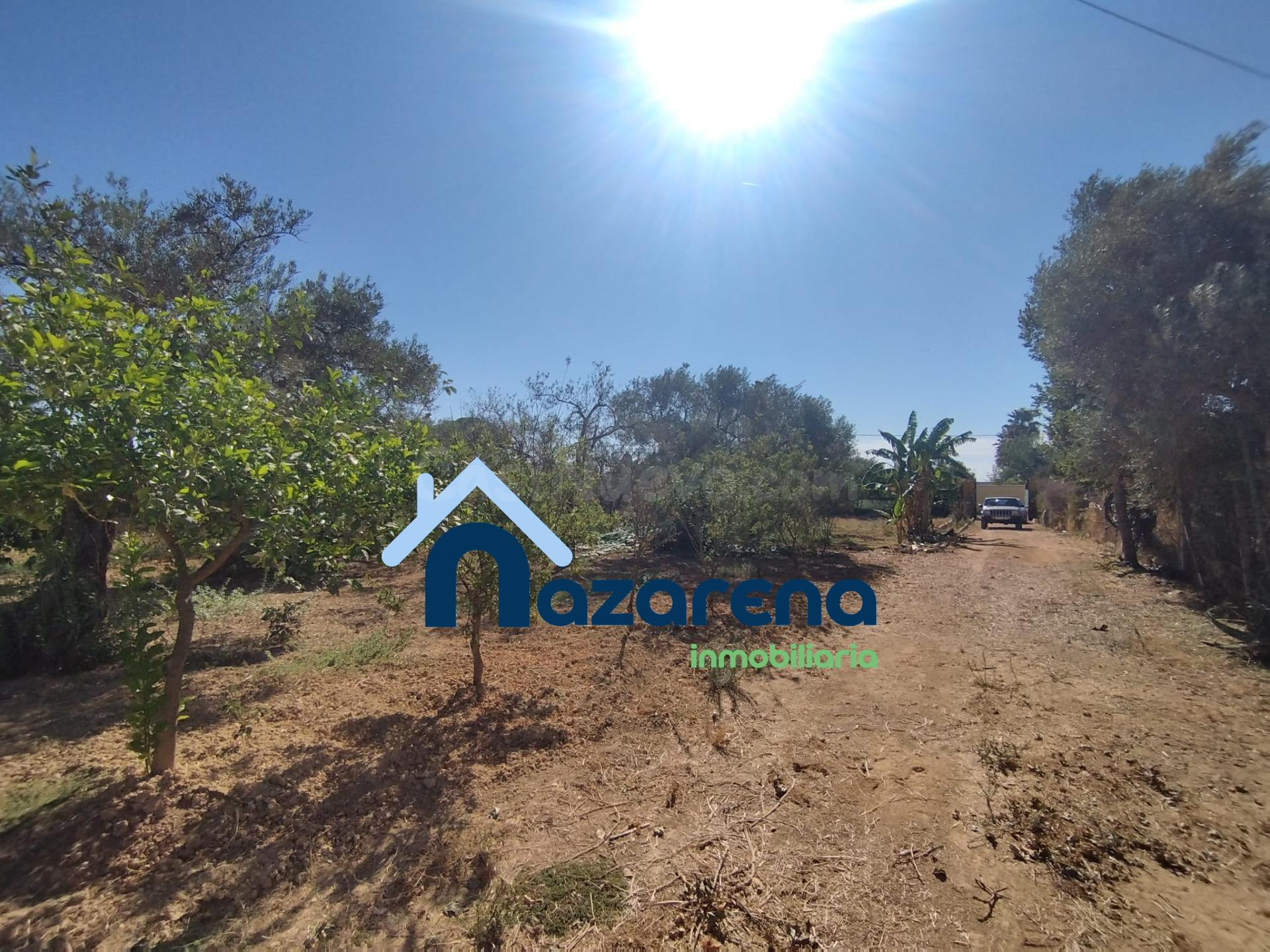 PARCELA RUSTICA EN LA PORTUGUESA (ALCALA DE GUADAIRA) - foto 4