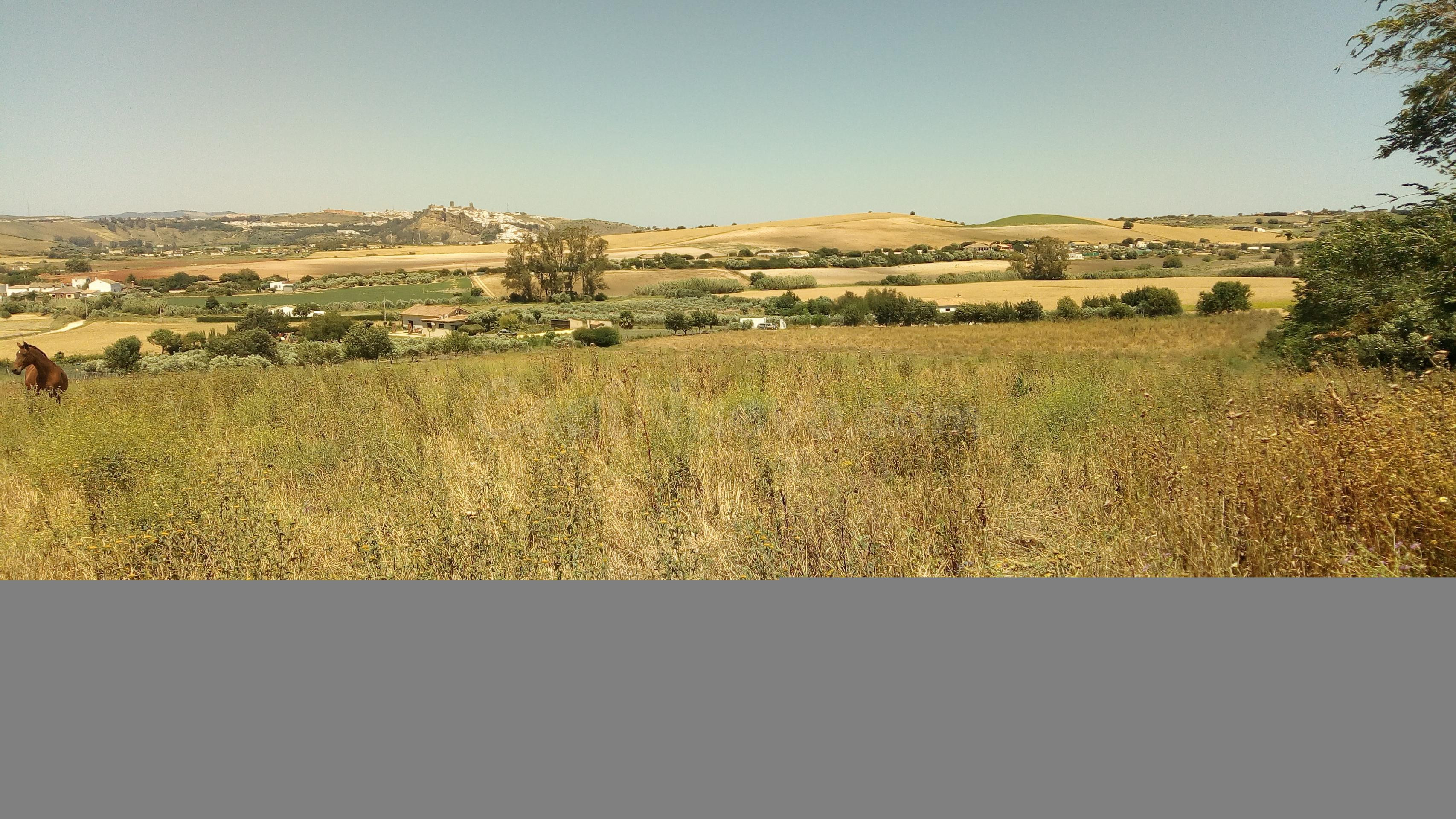 El Fain, Monarda y Hoyos del Boyero - foto 3