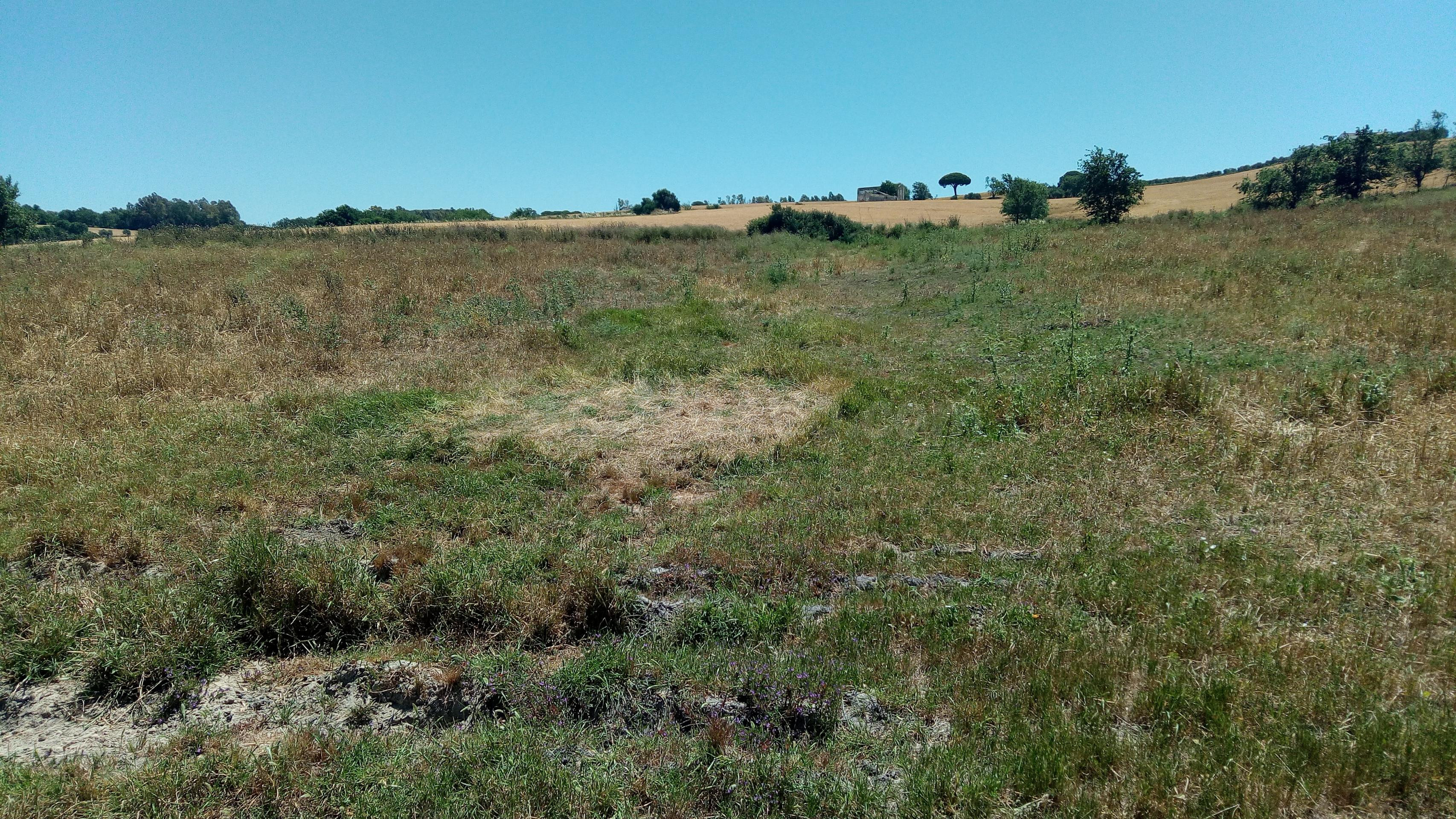 El Fain, Monarda y Hoyos del Boyero - foto 4