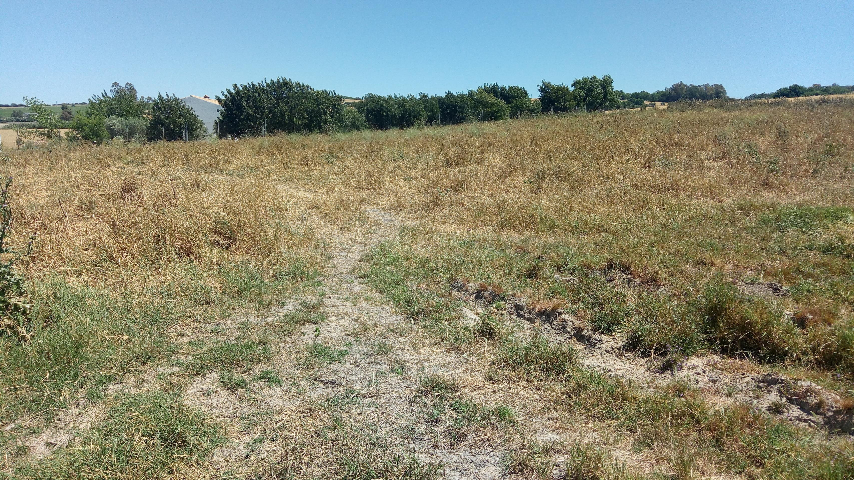 El Fain, Monarda y Hoyos del Boyero - foto 5