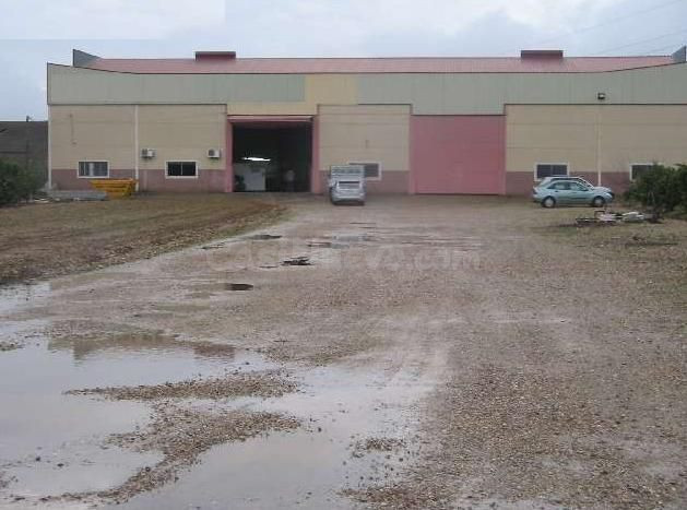 Nave industrial de 1.000 m2 construidos en carretera Palma d