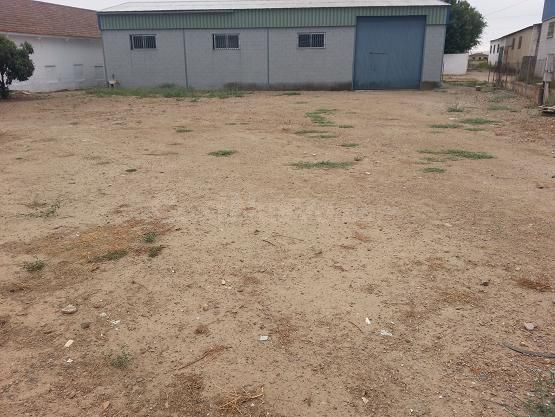 🌿 Terreno en Venta en Zona Ctra. Palma del Río – Con Nave y Suministros