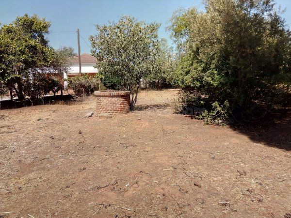 TERRENO RUSTICO EN URBANIZACION LA COLINA - foto 2