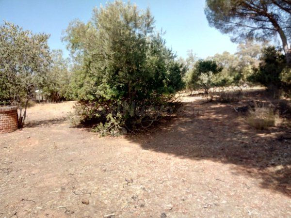 TERRENO RUSTICO EN URBANIZACION LA COLINA - foto 3